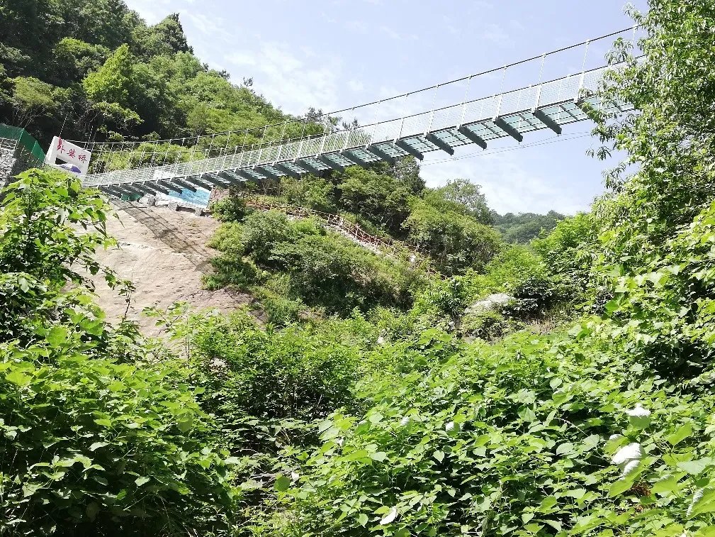 一踏上这座玻璃吊桥,仿佛置身于仙境之中.