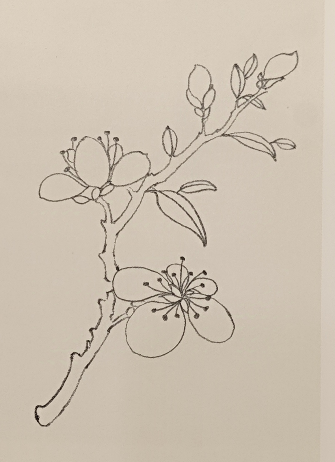 毛笔书法爱好者#