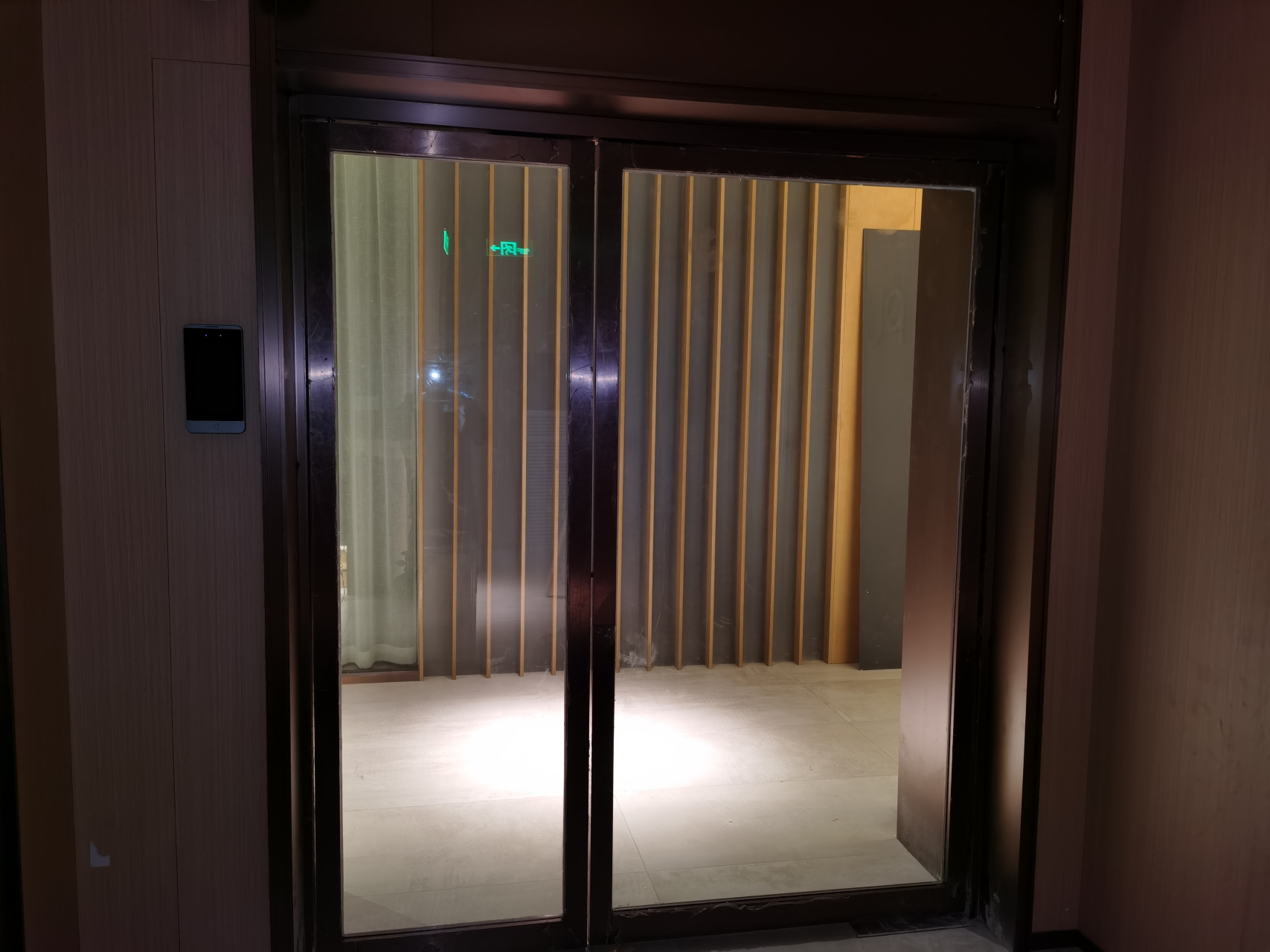 电动地弹簧门