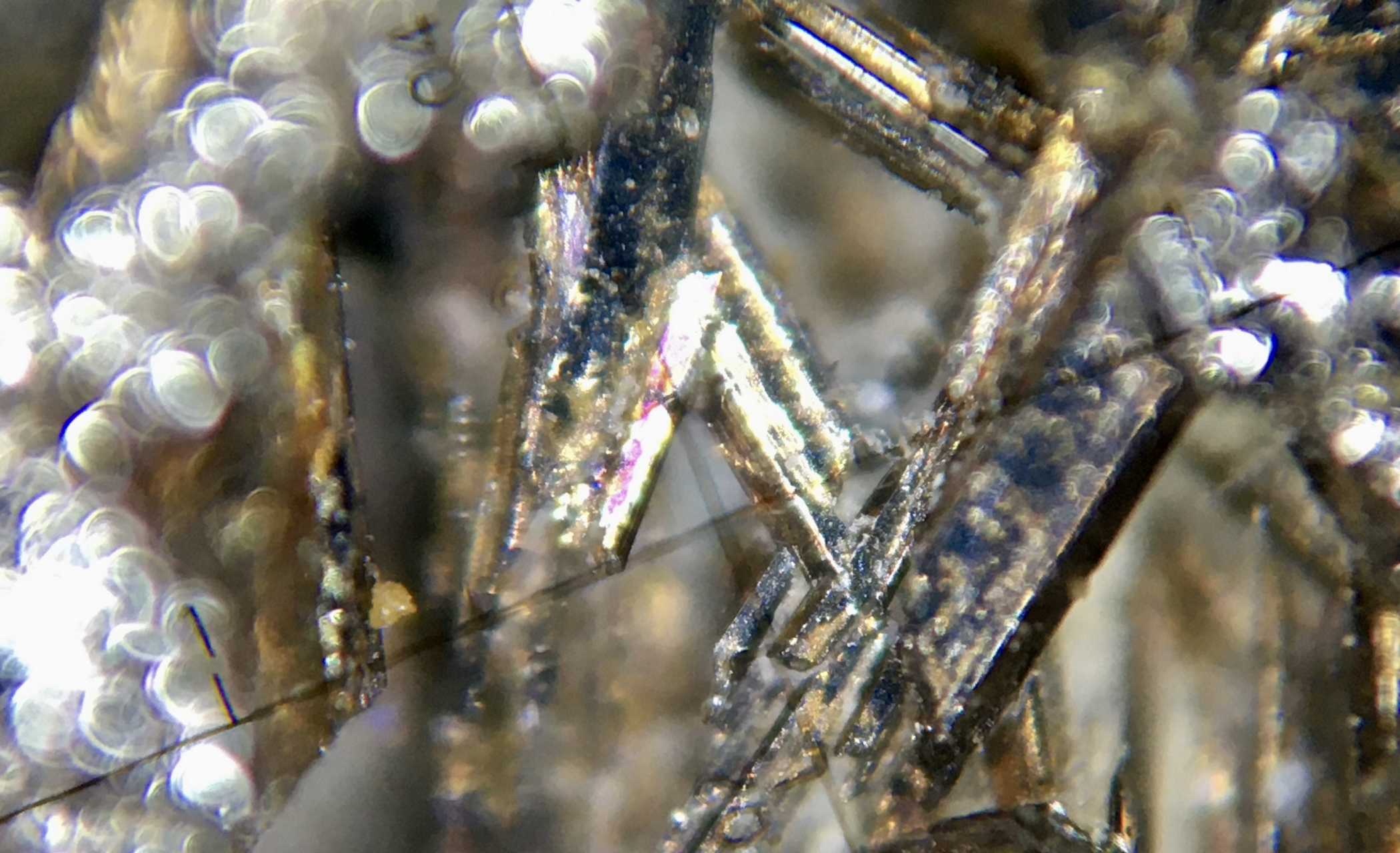 陨石 风蚀外露的维斯台登构造