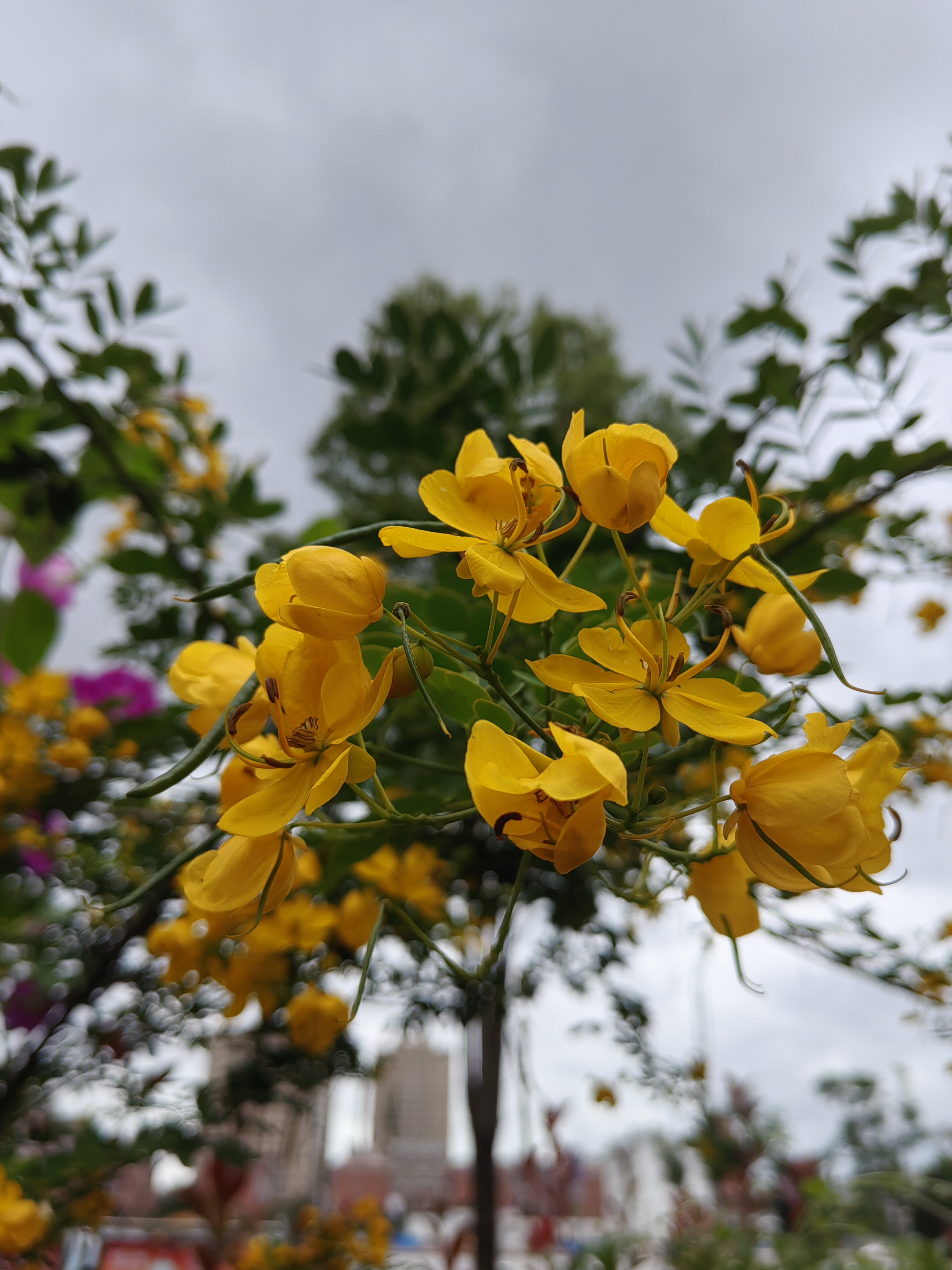诗于焉  蝴蝶翩跹翅羽 激荡一眼轻灵 诗于焉 如饮之甘霖 如生命的色彩