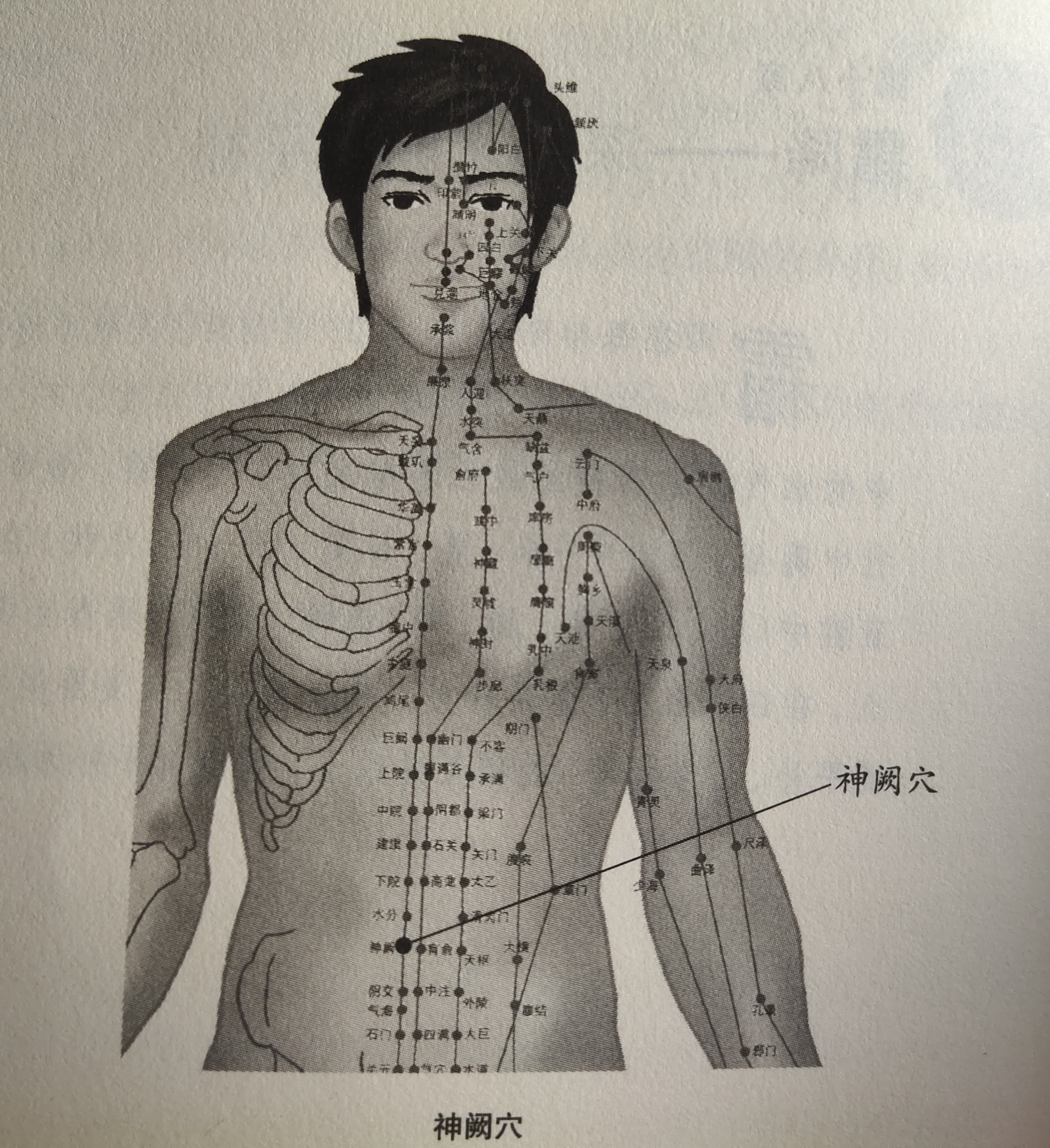 大人拉肚子艾灸部位图图片