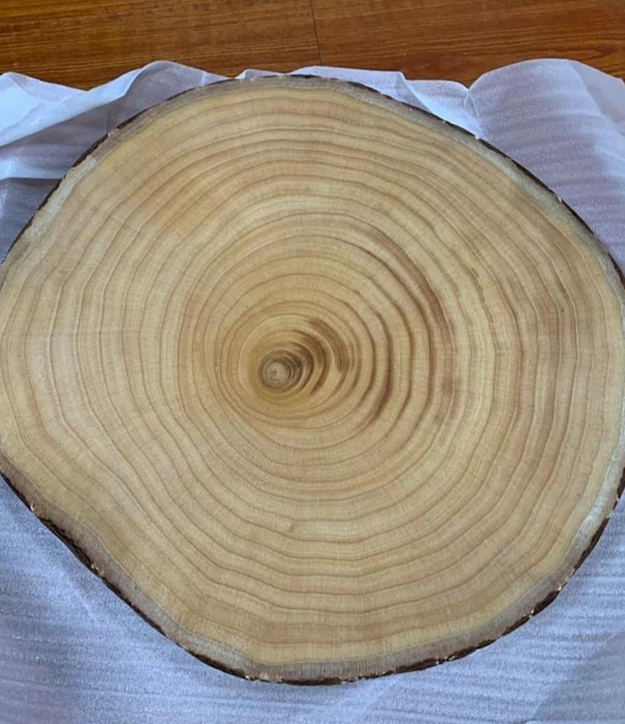 据我精心的推算这颗树至少有三十年了,可惜了或许它