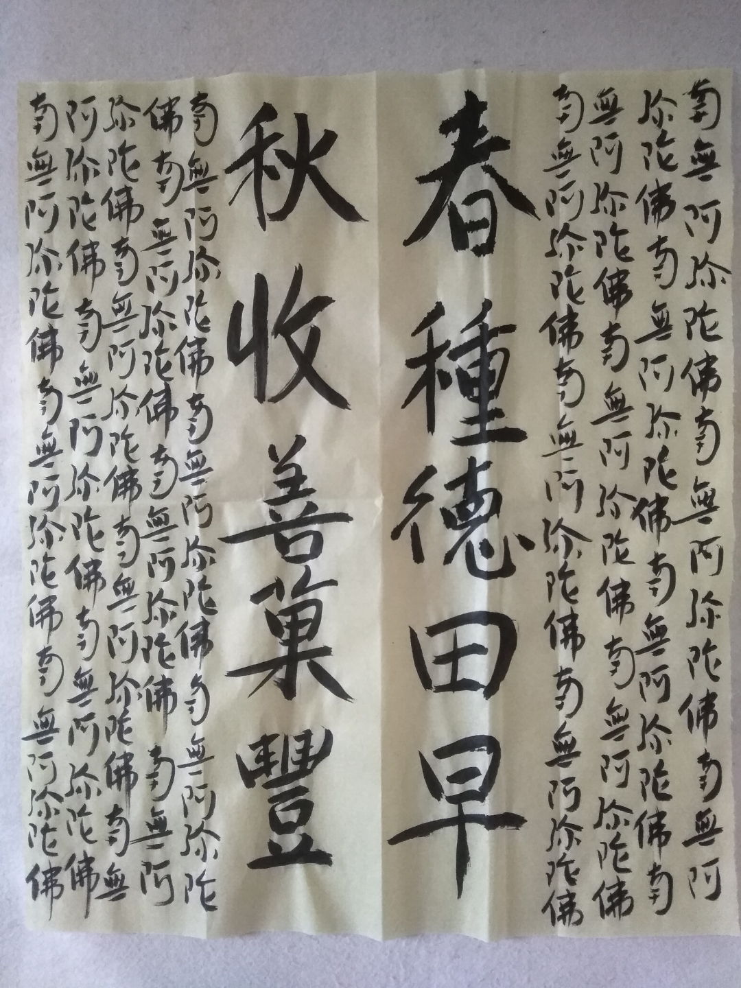 春种德田早,秋收善果丰,立秋!