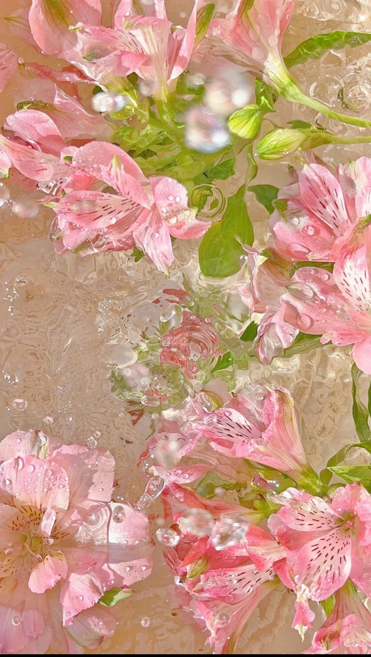 水 花=水花