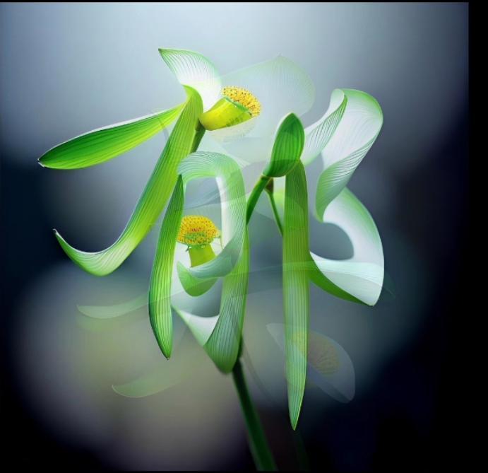 纯洁静气尘不染,光彩夺目美誉传.