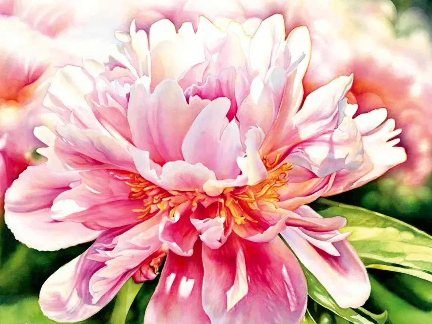 美国的水彩画家debbie friis-pettitt