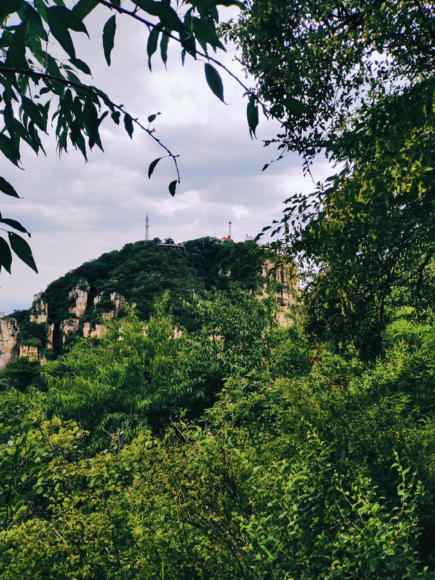 2023年7月15日,易县石佛沟,此山植被茂密,苍松翠柏,原始未开发的山脉