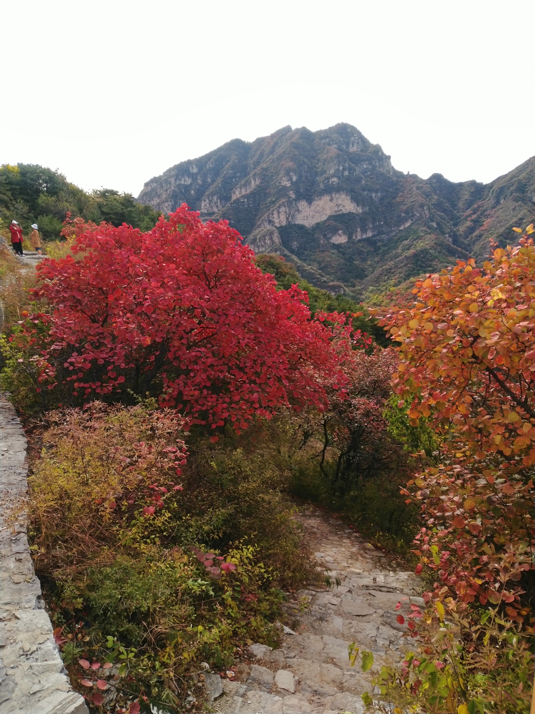 白银坨风景区图片