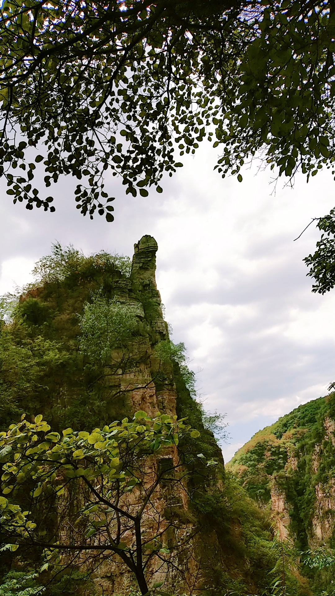 2023年7月15日,易县石佛沟,此山植被茂密,苍松翠柏,原始未开发的山脉