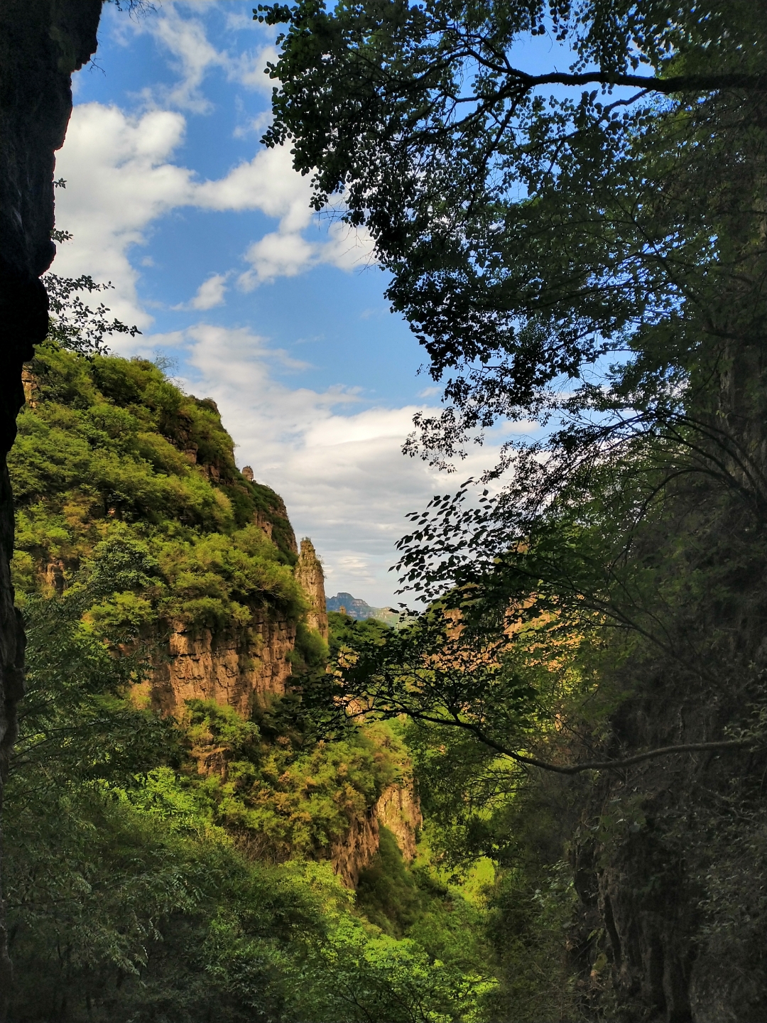 2023年7月15日,易县石佛沟,此山植被茂密,苍松翠柏,原始未开发的山脉