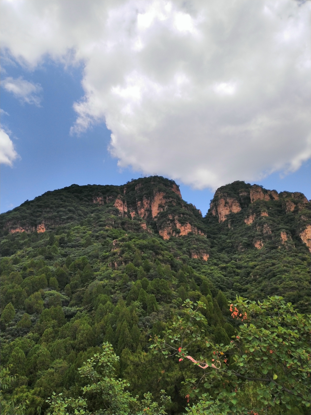 2023年7月15日,易县石佛沟,此山植被茂密,苍松翠柏,原始未开发的山脉