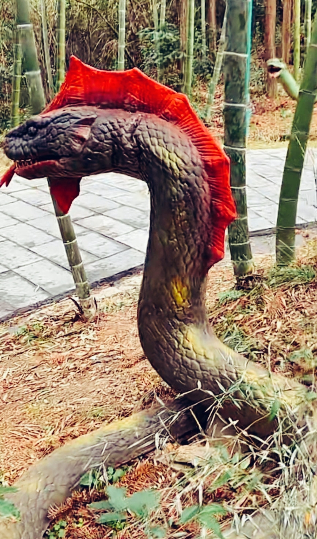 周末带娃游动物园,漫步至蛇的领地,竟目睹了这条龙蛇.那是什么?