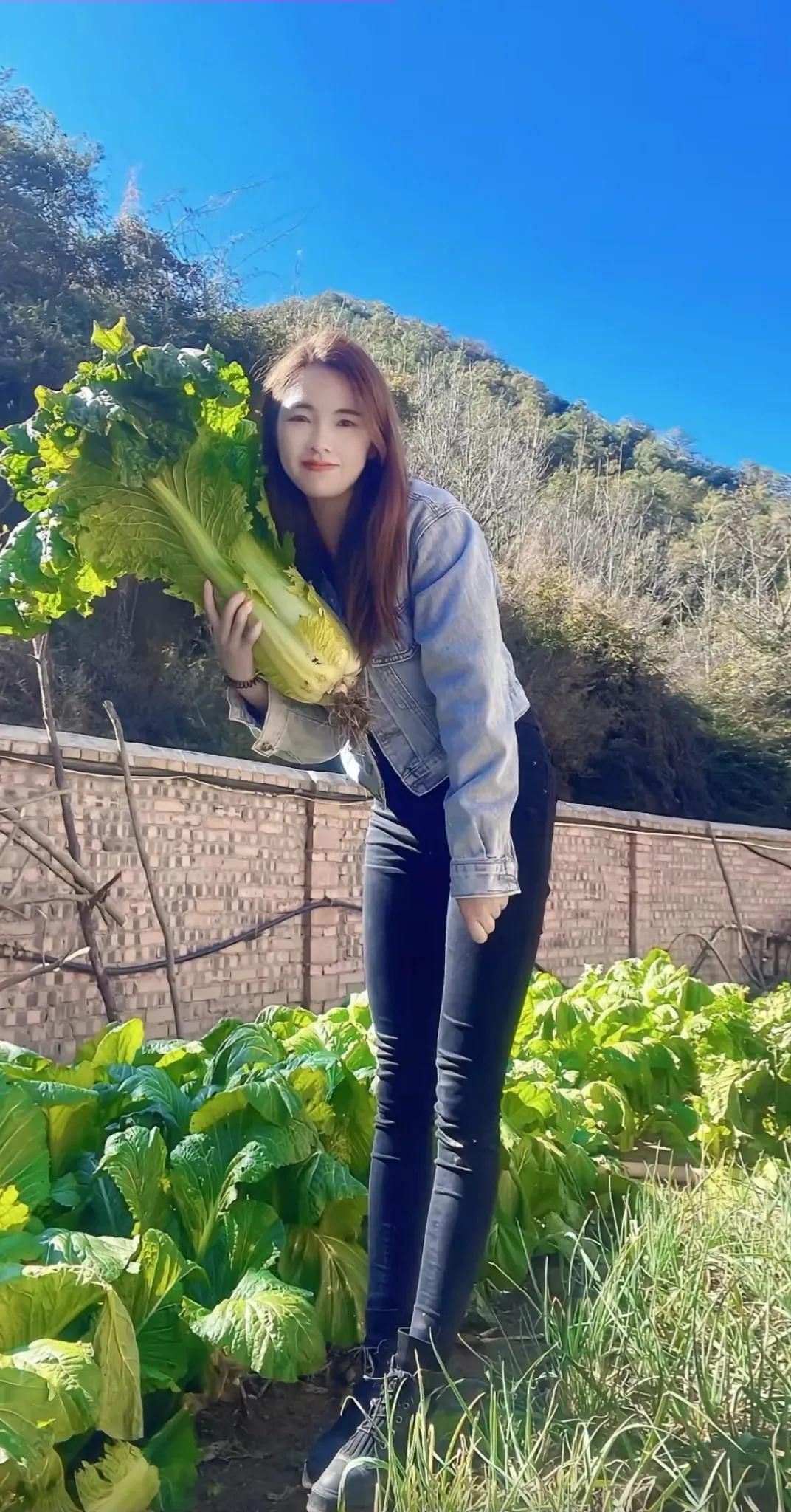 手上这棵菜,我们广西老家叫火筒菜,你们那怎么叫?