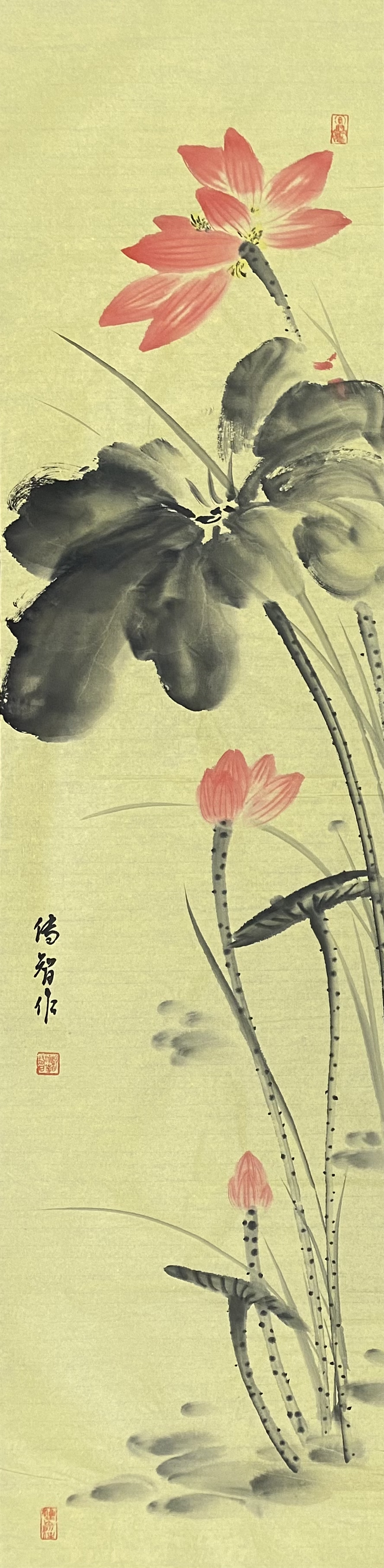 和乐:释传智法师国画荷花作品 #国画# #见微禅苑# #荷花
