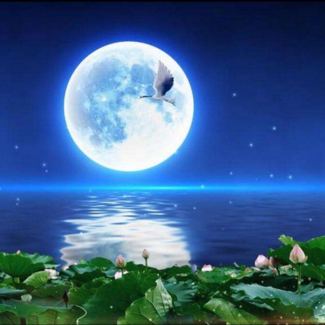月亮掉进水里的画图片