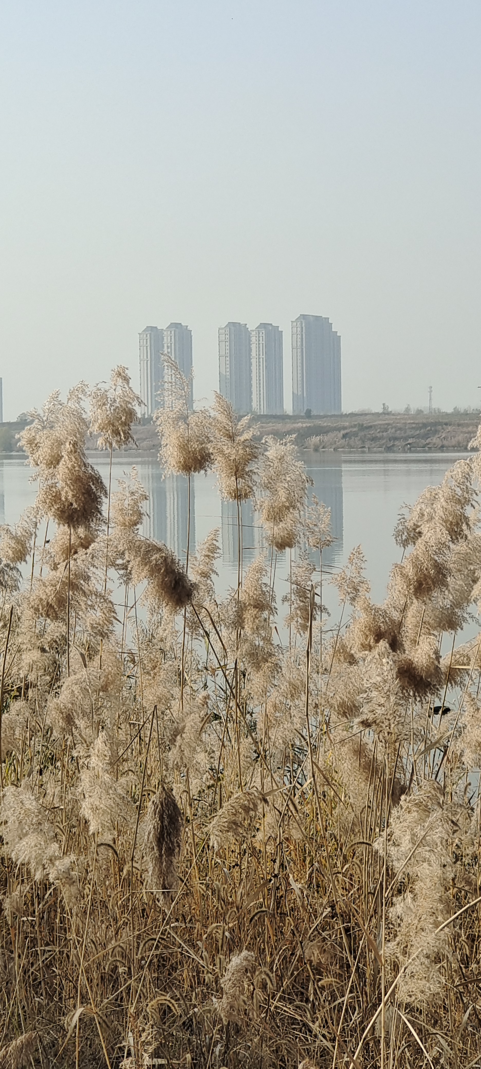 白蒲天气预报
