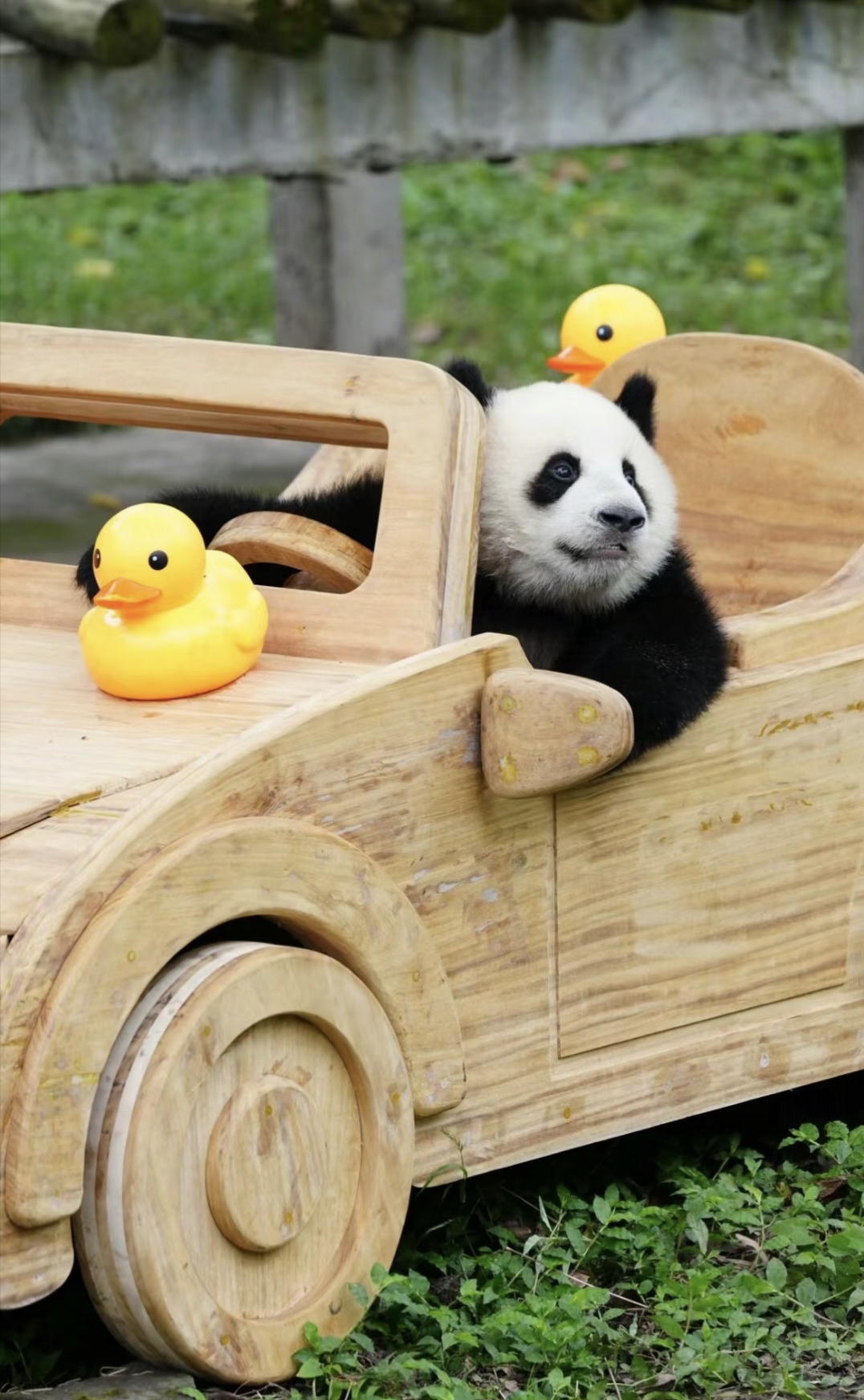 火山哥:小妞上车吗?我带你去兜风啊!真的被他装到了!#热点引擎计划