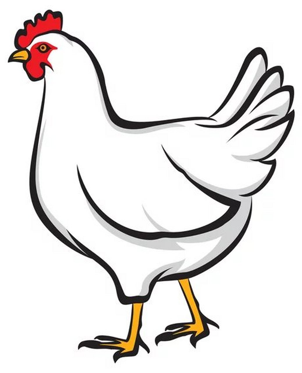 生肖鸡 属鸡的女生心思细腻,对于别人的情绪和心情有很强的感知能力