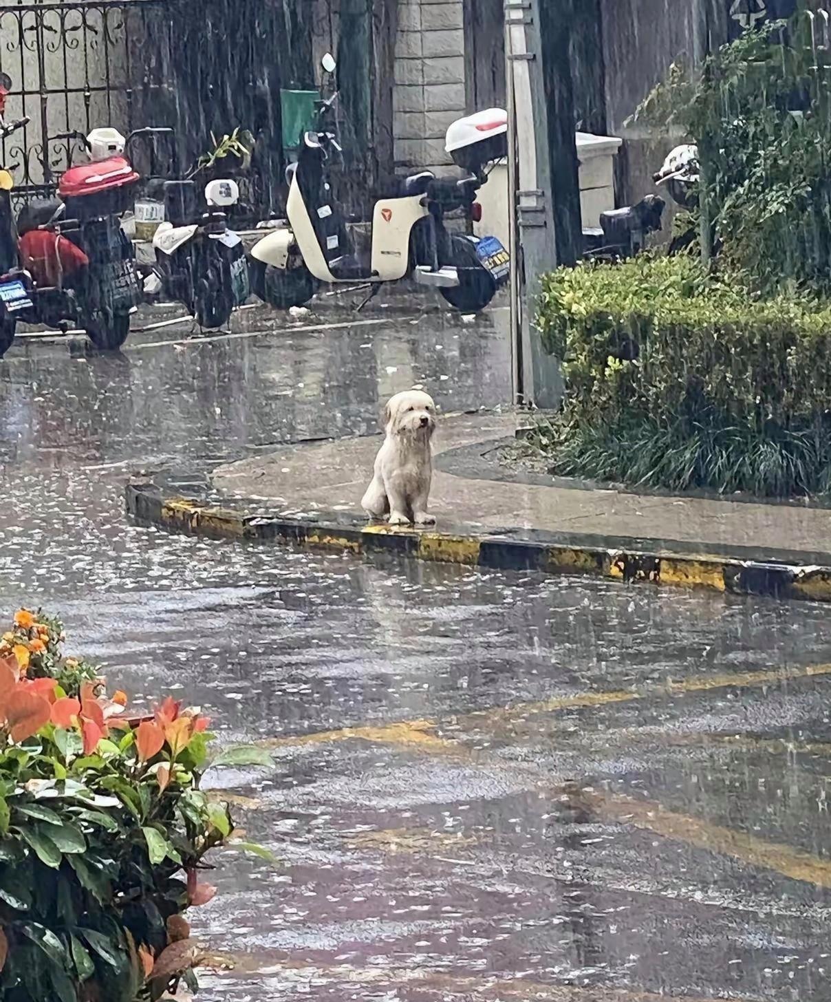 天空突然下起雷阵雨