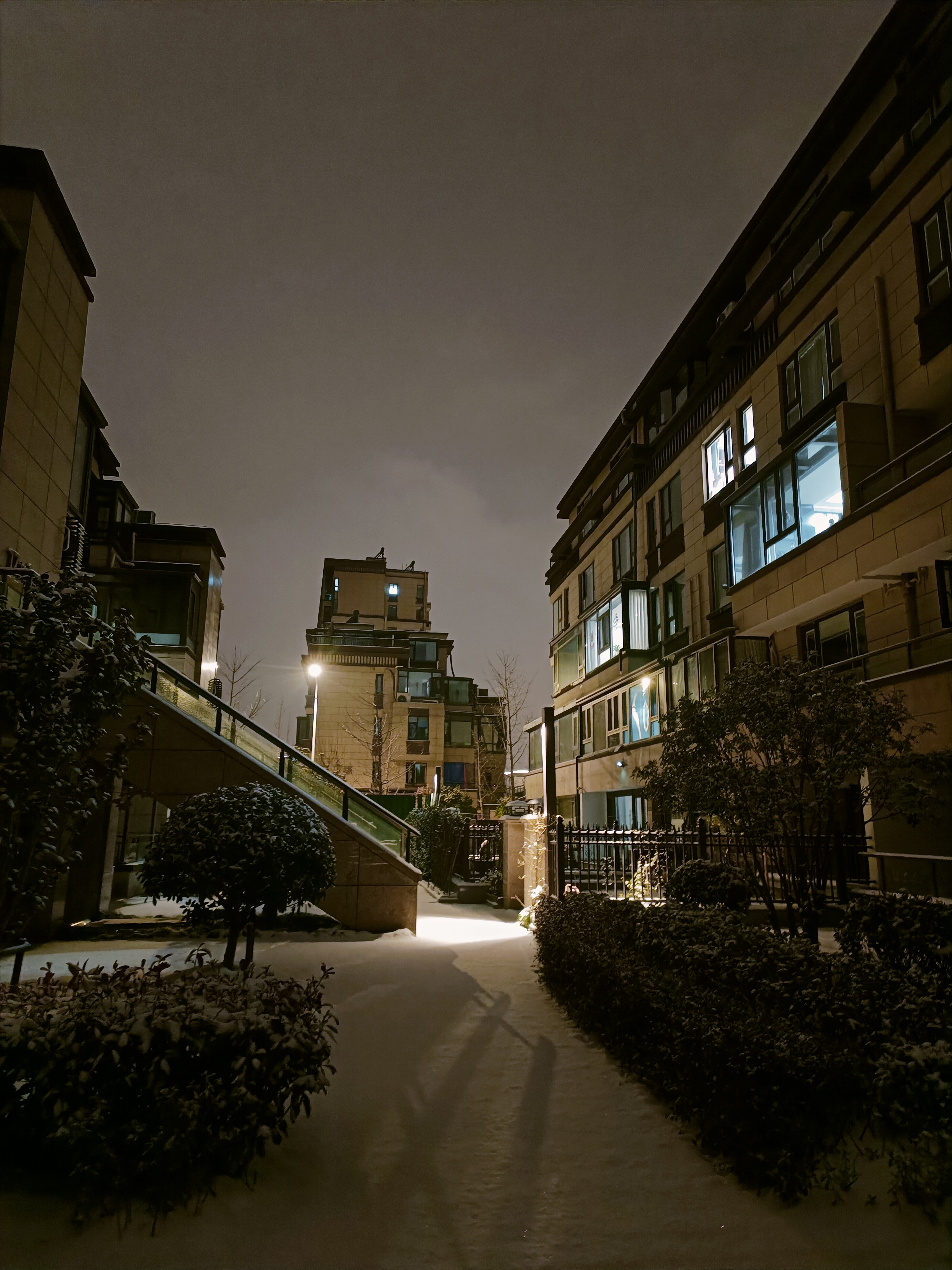 城市下雪图片真实晚上图片