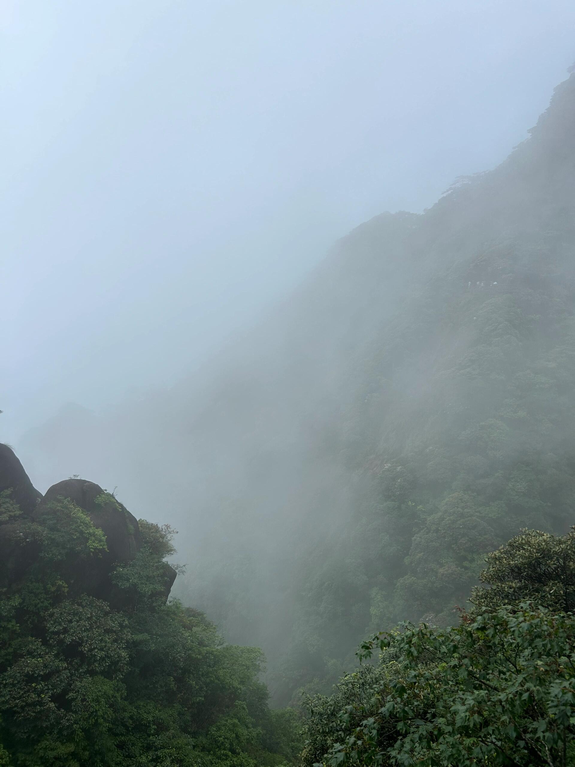 云雾缭绕的山间,绿意盎然,宛如仙境.