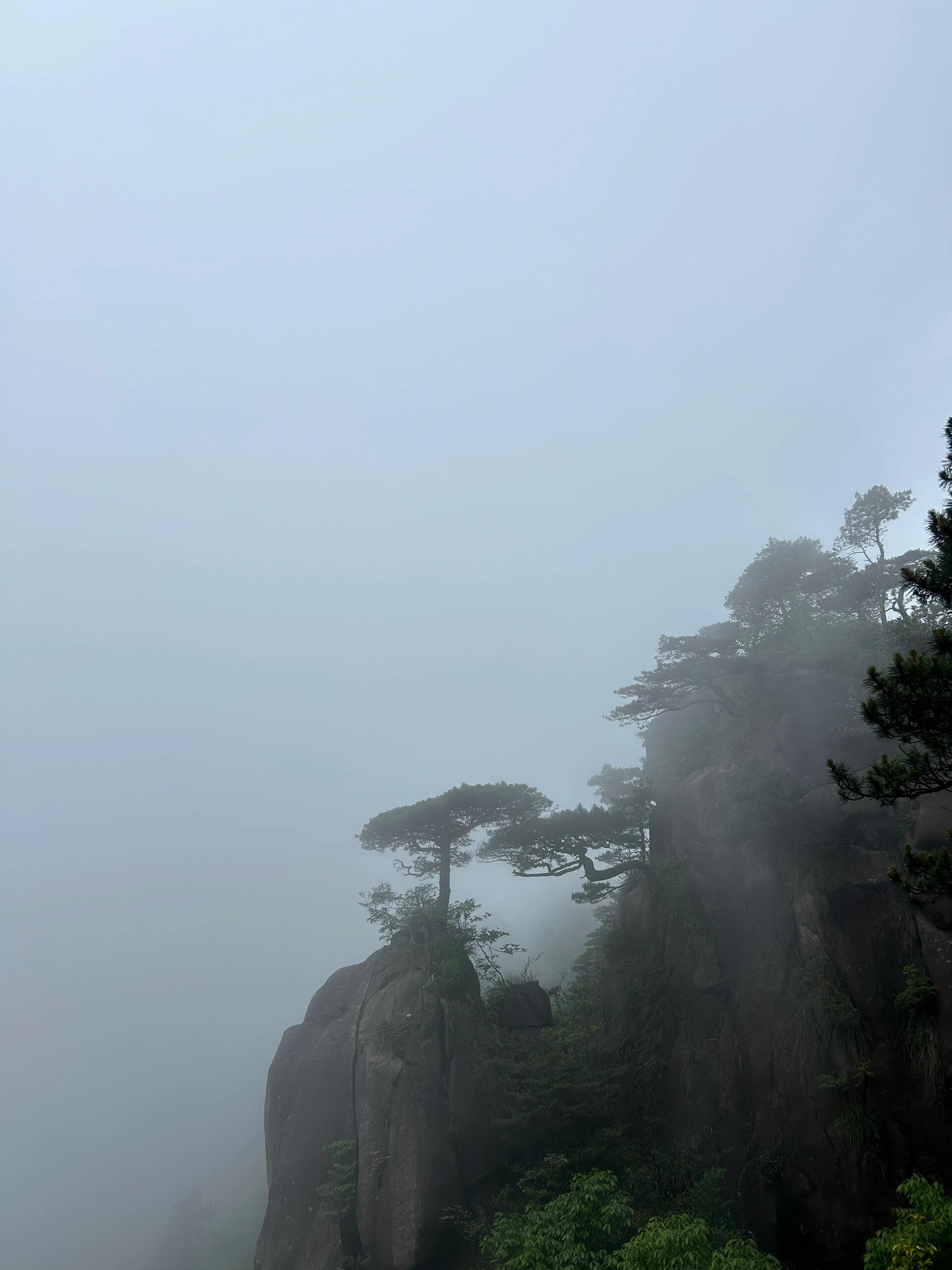 云雾缭绕的山间,绿意盎然,宛如仙境.