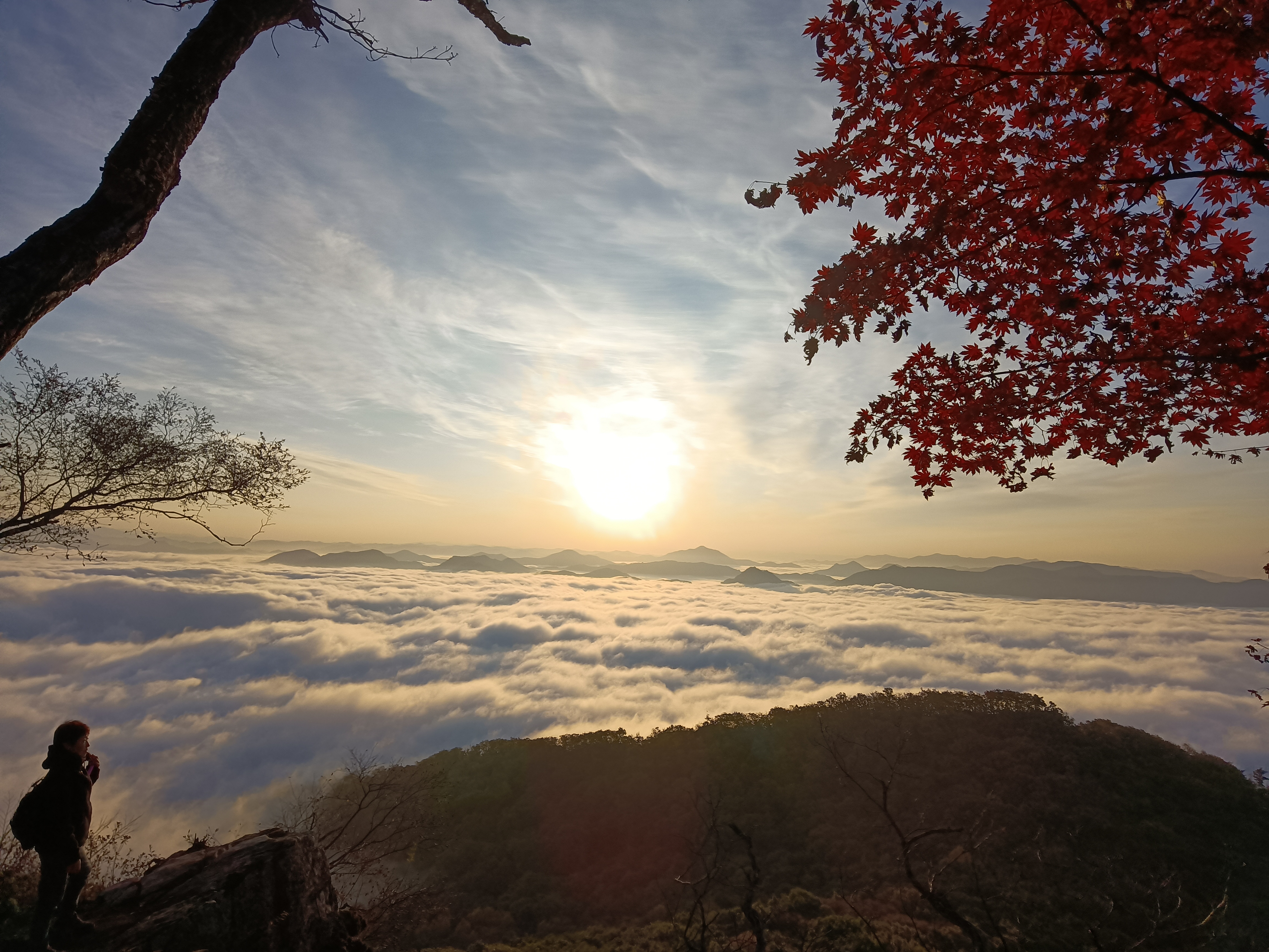 太阳出来照大地图片图片