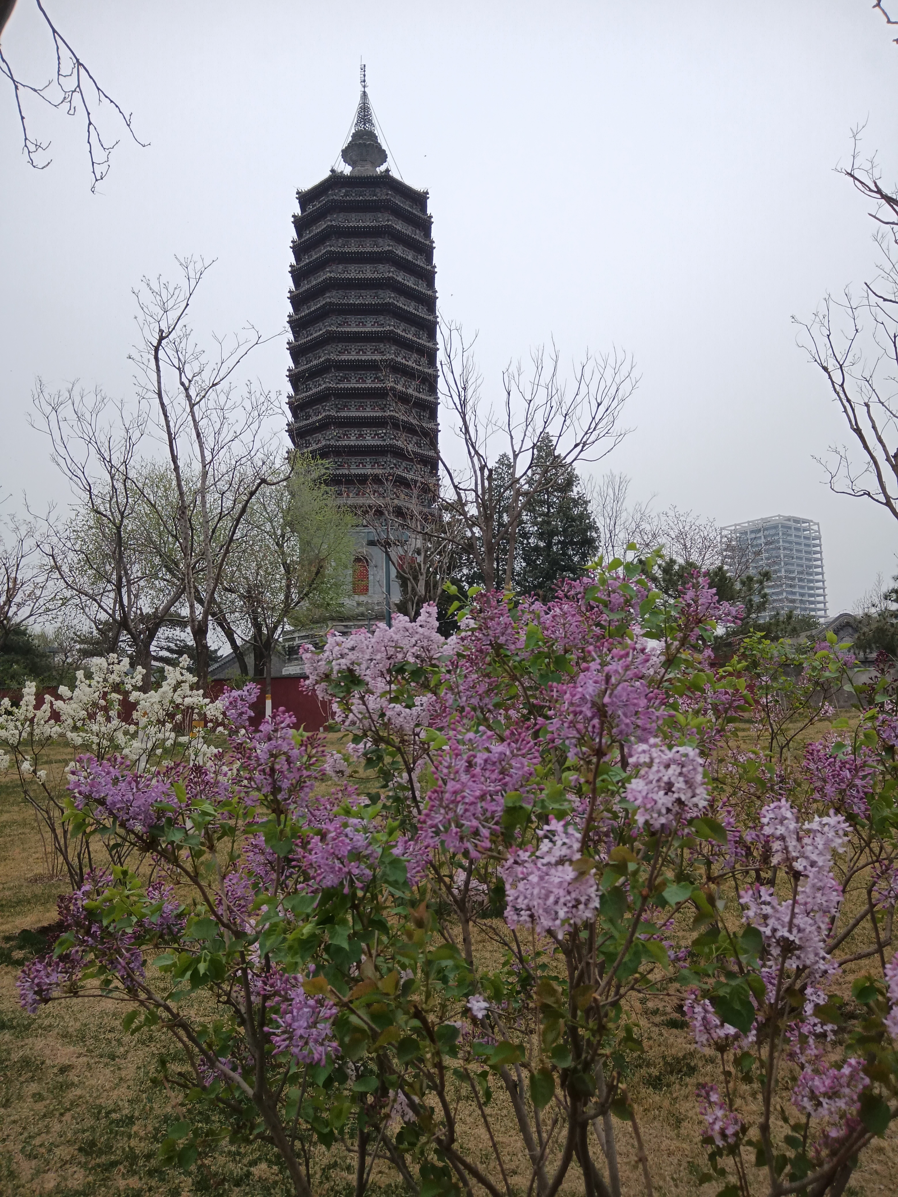 宝塔美景