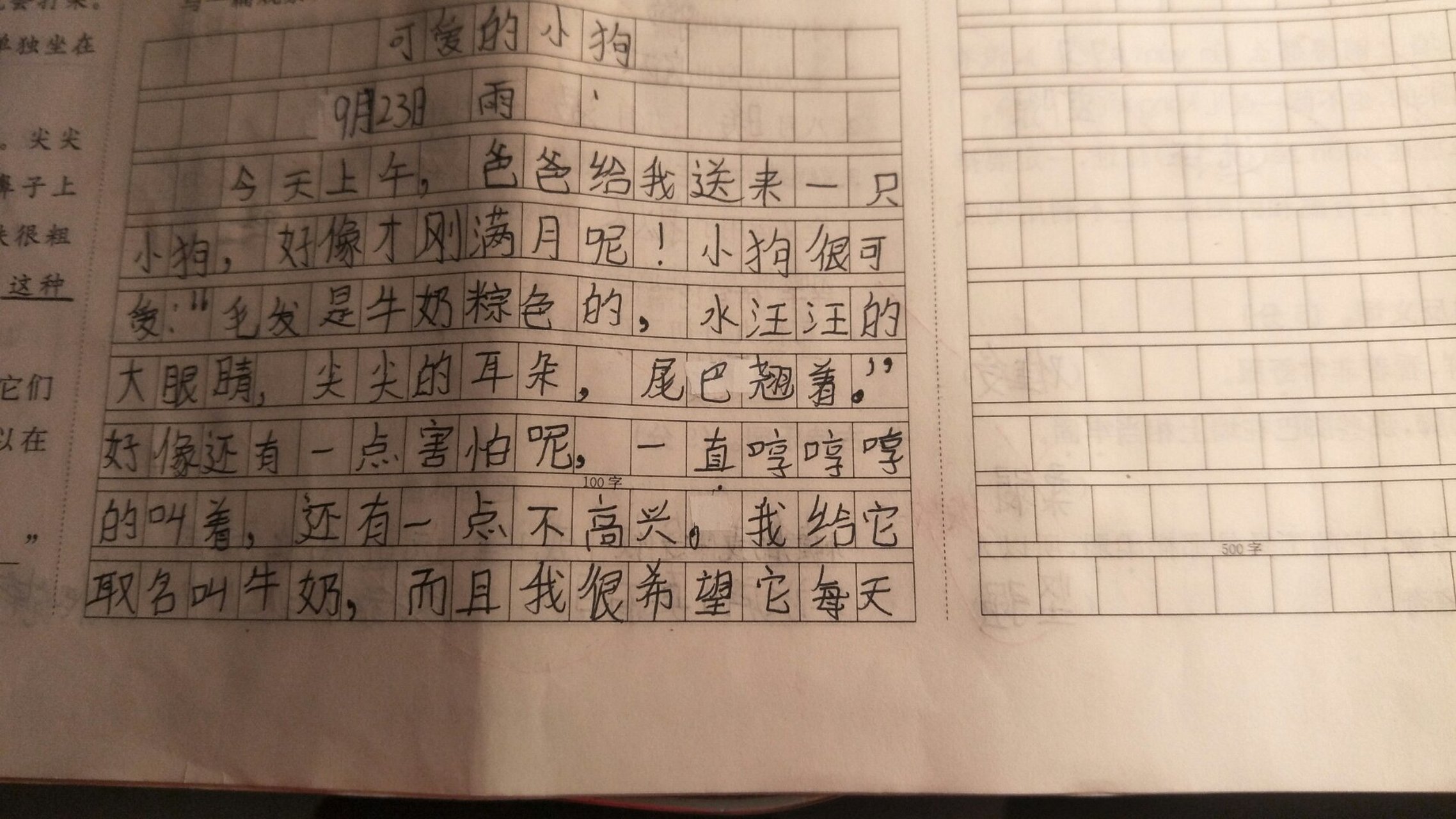 观察小狗的日记500字(观察小狗的日记500字四年级)