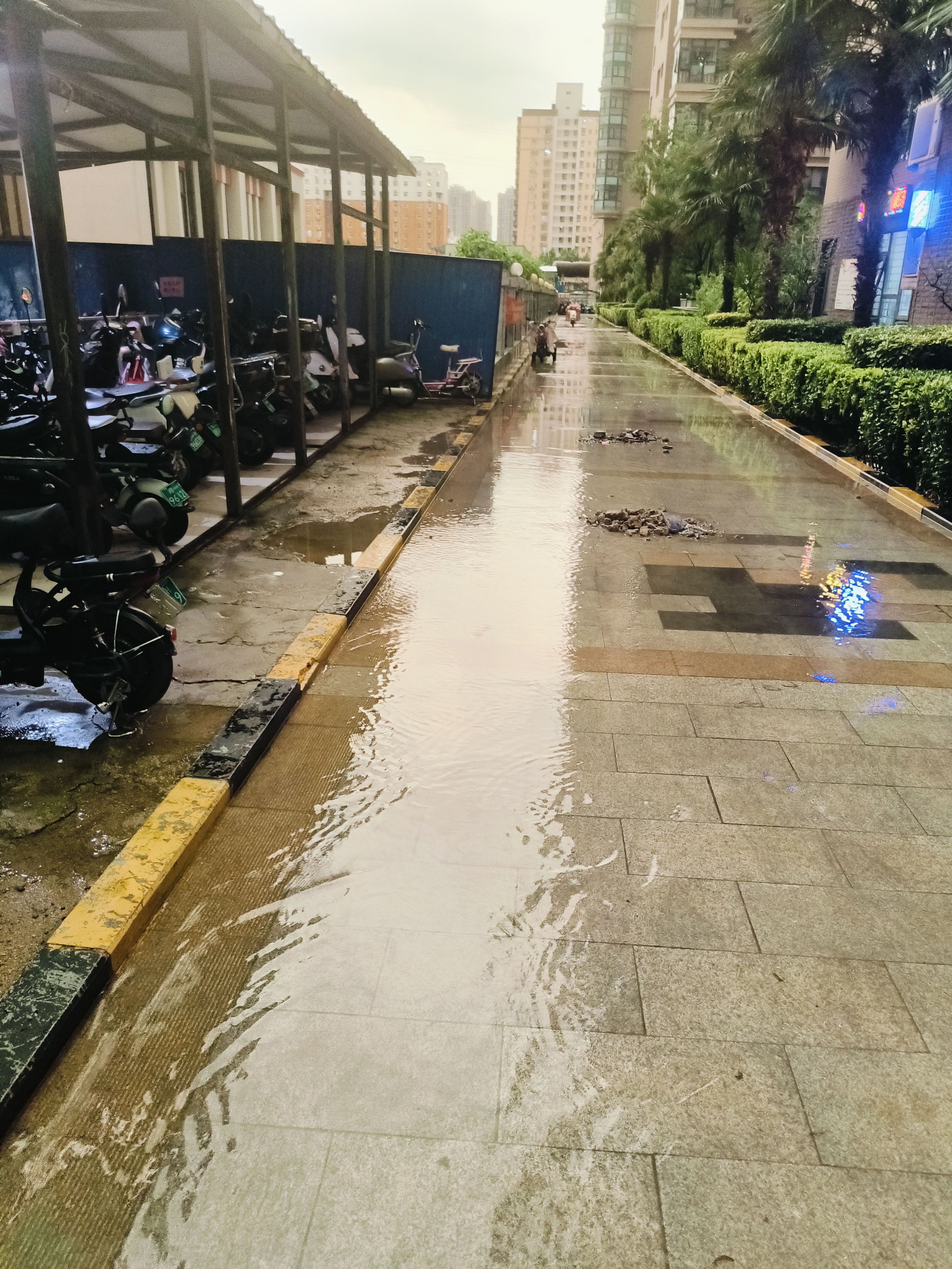 郑州下雨图片图片