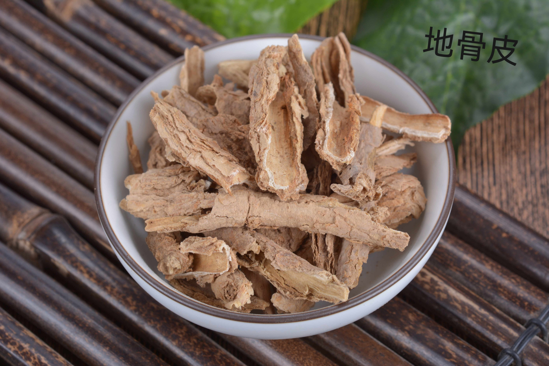 满满的中医药学干货  清热药·清退虚热药  地骨皮(digupi)(lycii