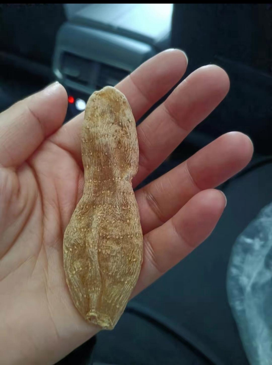 有人会告诉你是天麻,也有人猜是鱼鳔,但会不会有可能是一包用过的套套