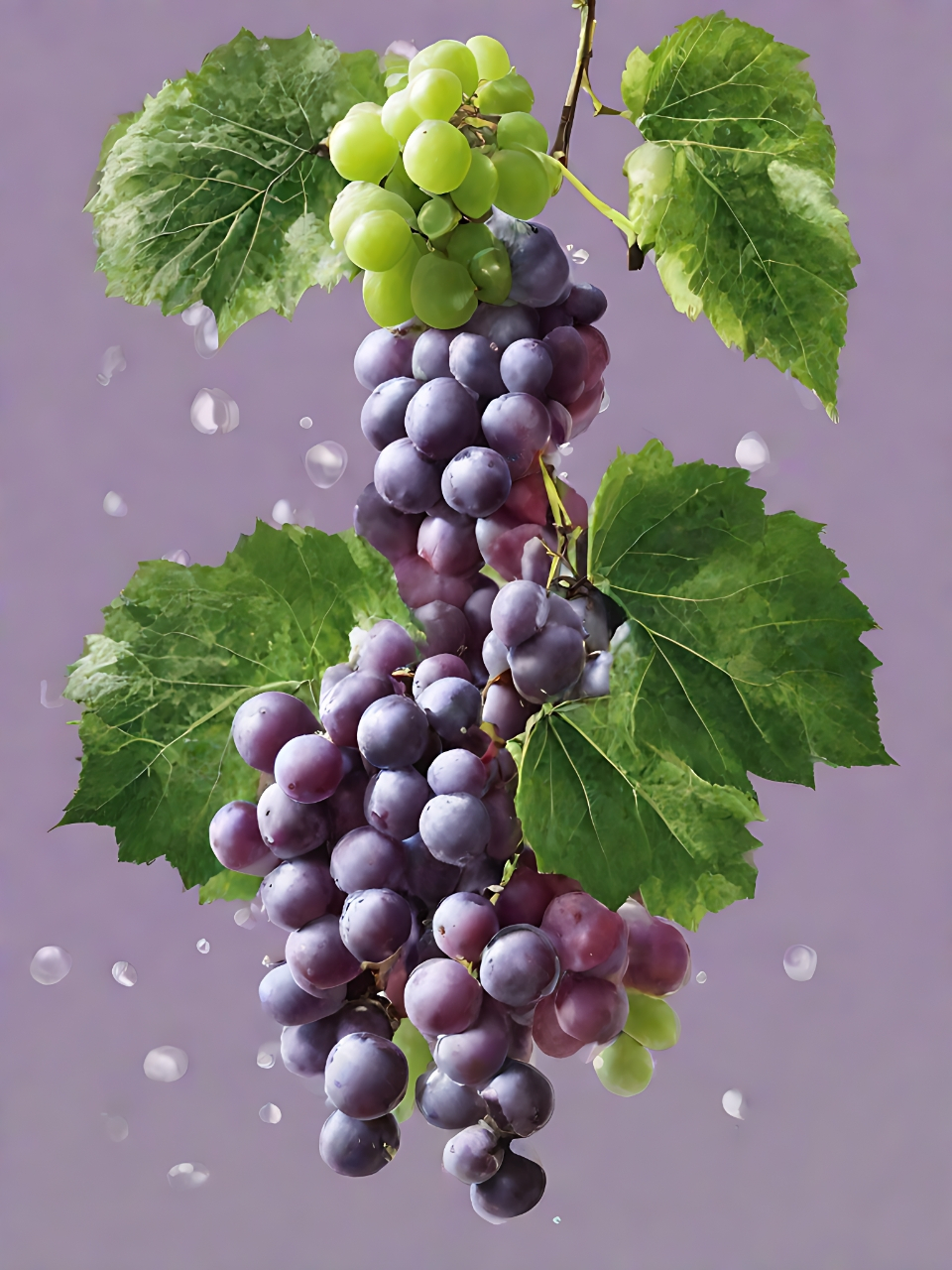 960_1280竖版 竖屏