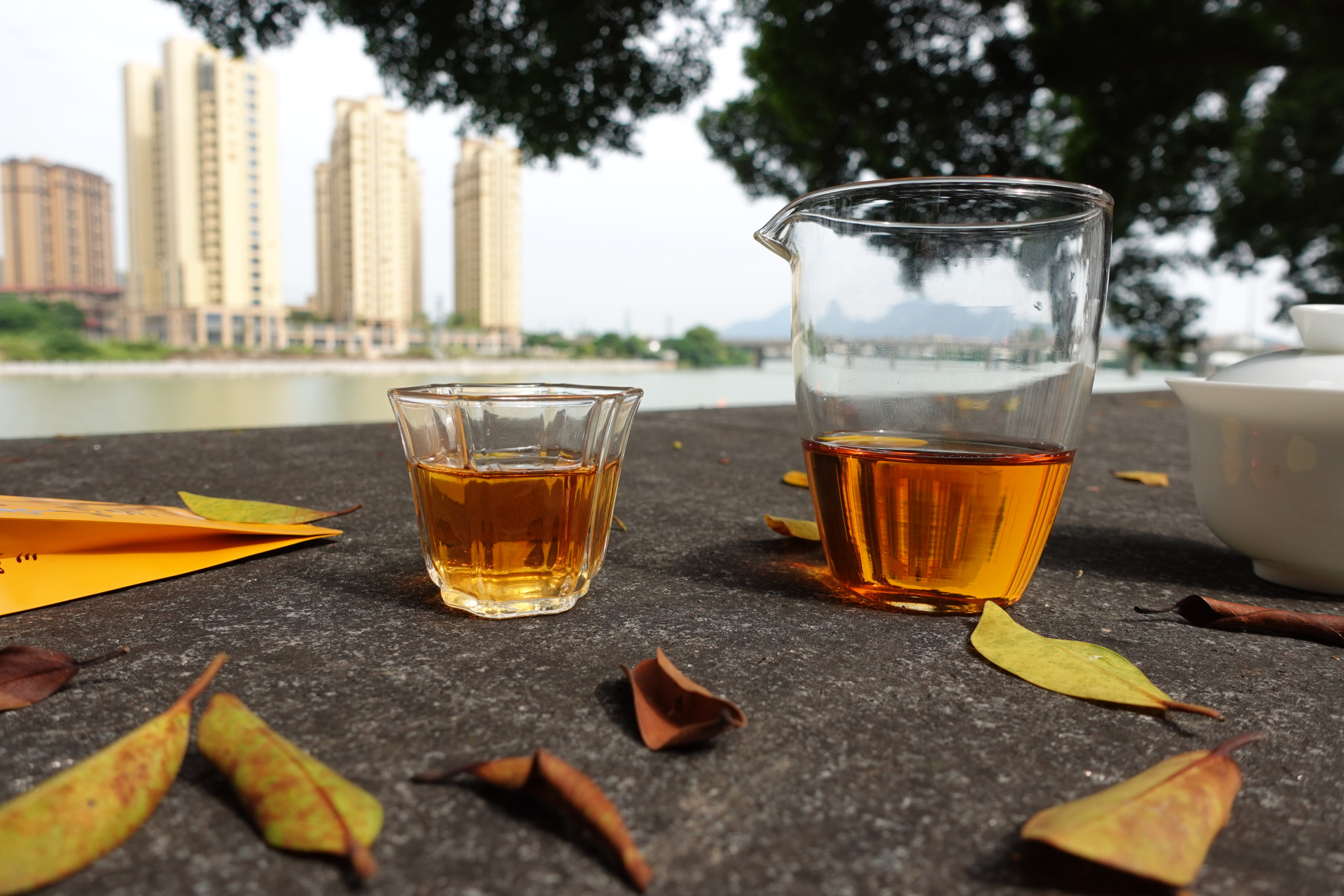 阳光正好,秋意凉凉,心情如诗.