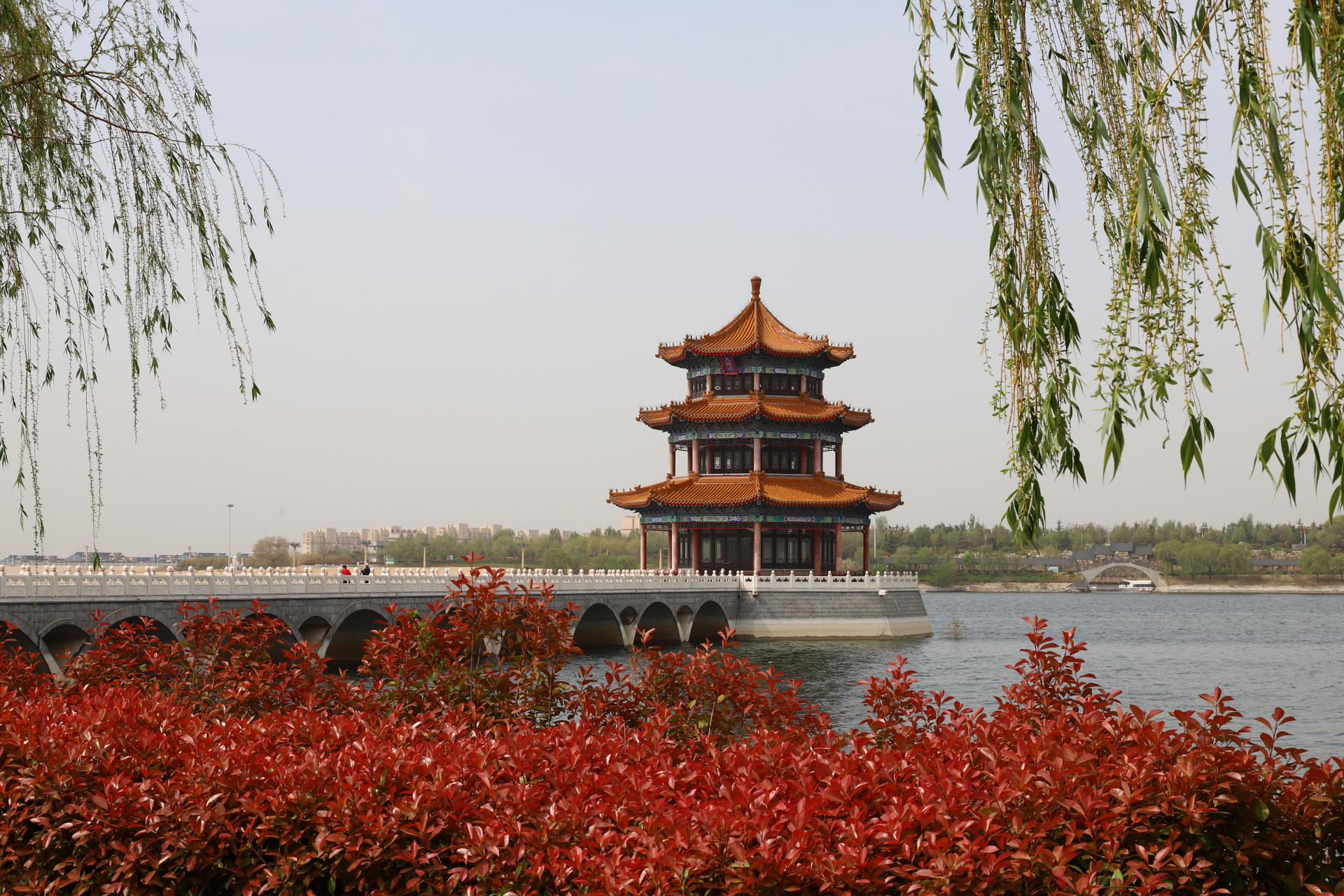 泰山花海景区,真的是花的海洋