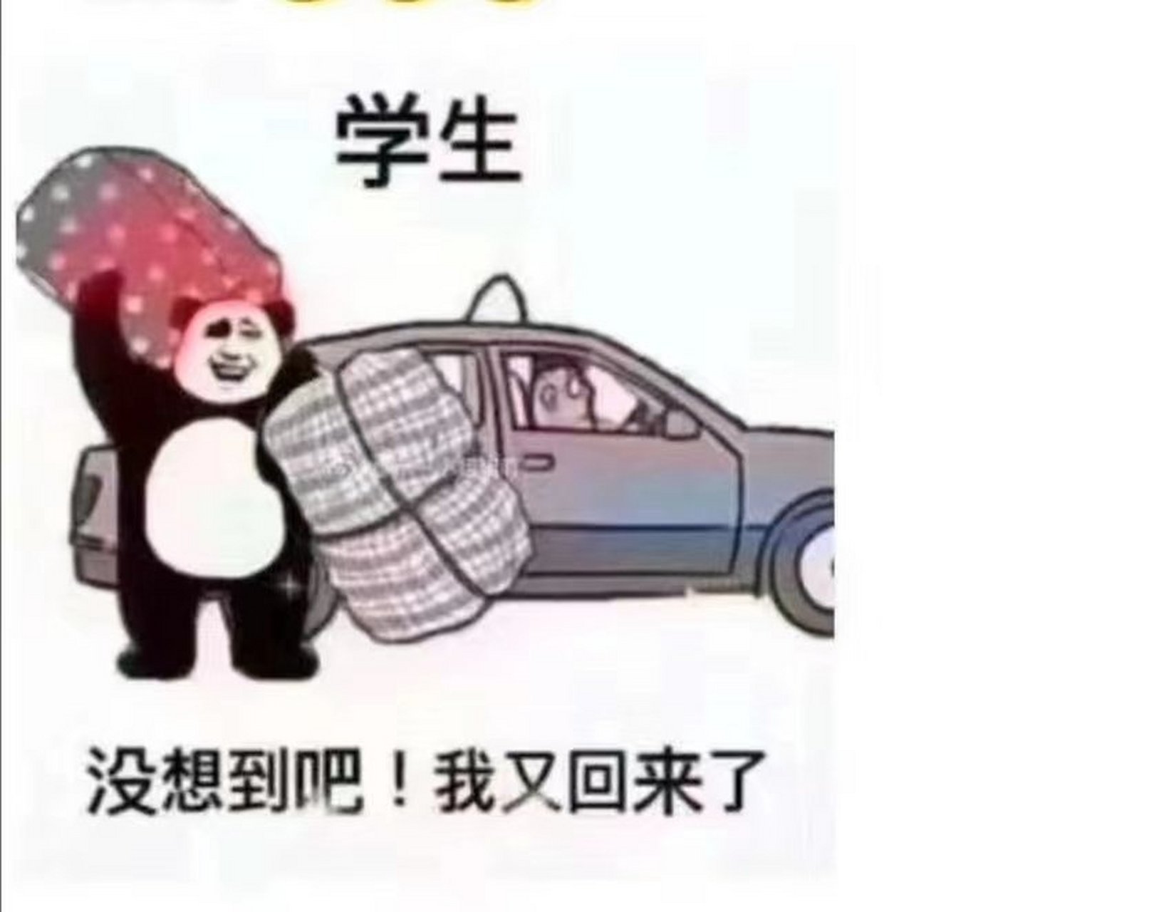 我爬回来了表情包图片