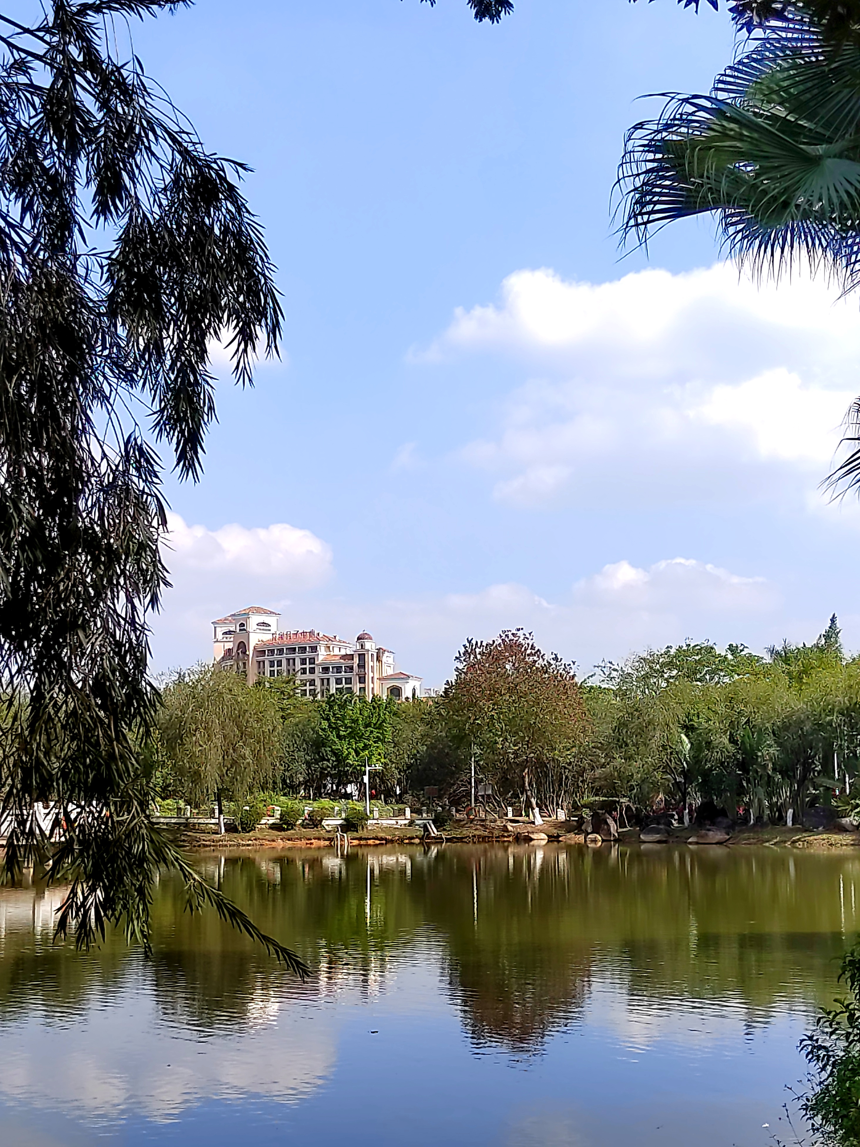 广州番禺南区公园美景