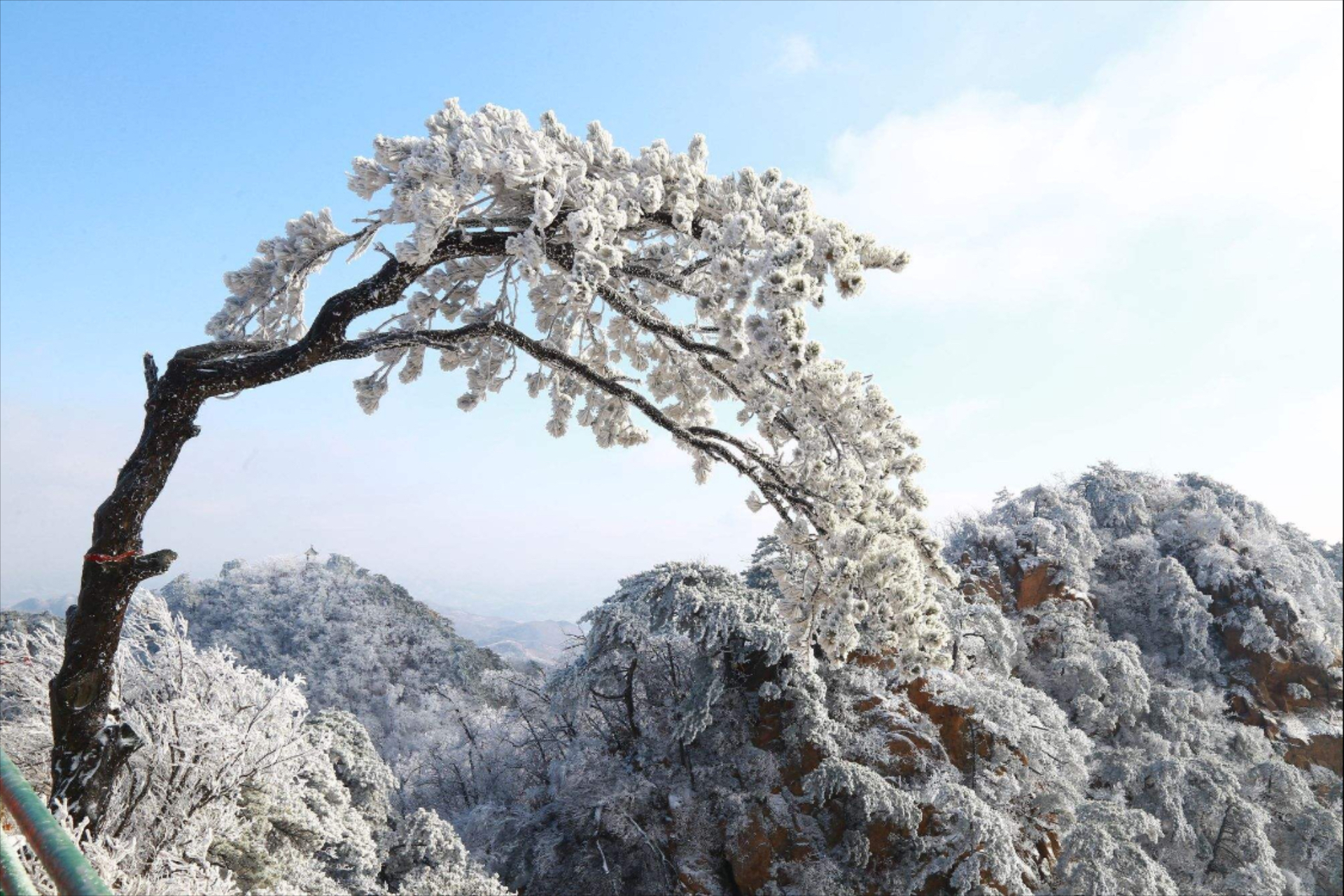 才有的美景#寒冬里,白雪皑皑,群山披上了银装,这如画般的风景令人心醉