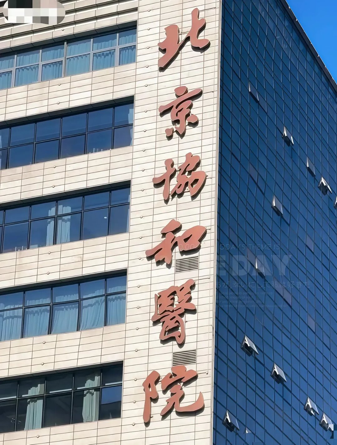 关于北京协和医院、一站式解决您就医贩子联系方式「找对人就有号」的信息