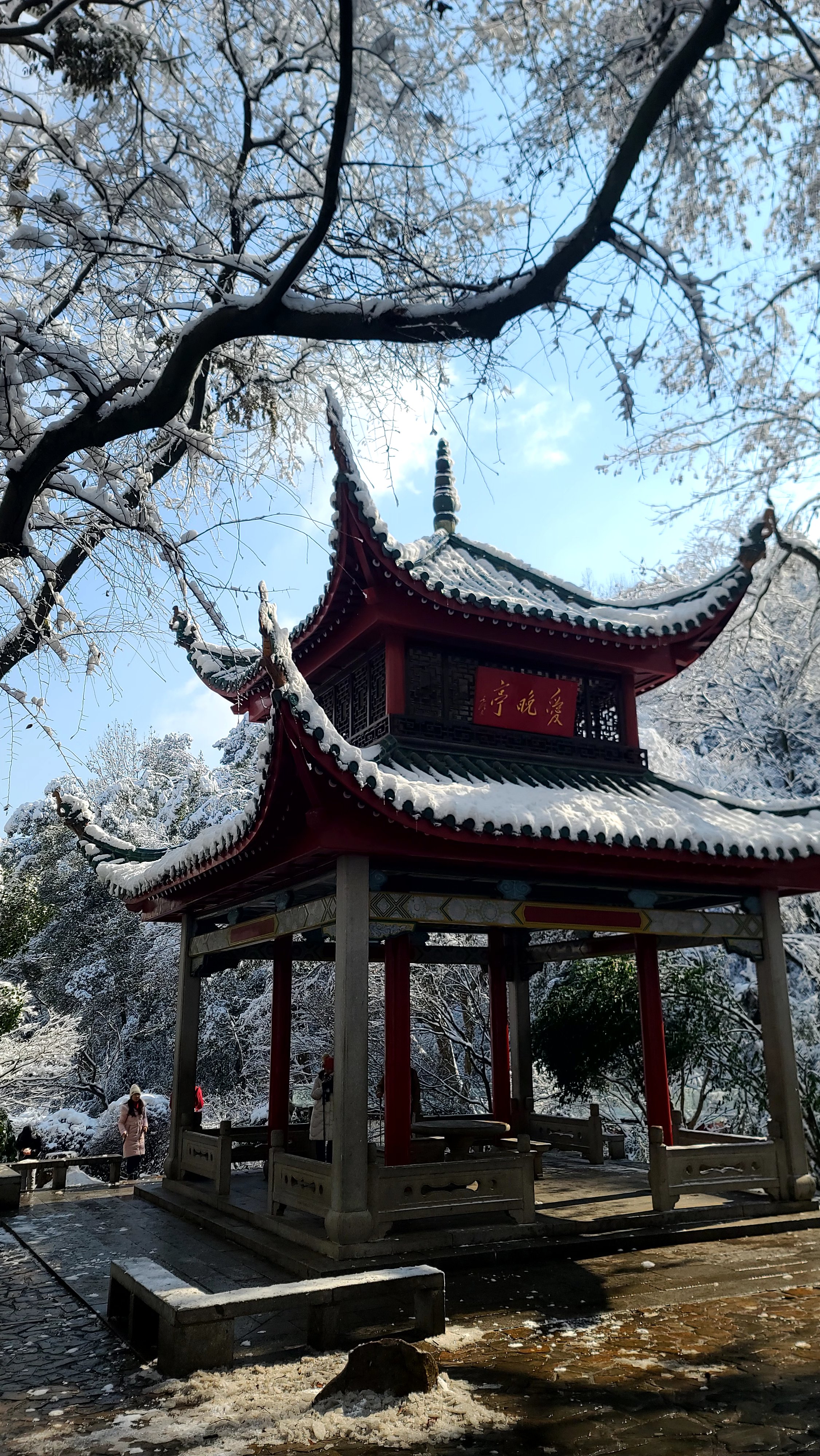 岳麓山雪景图片