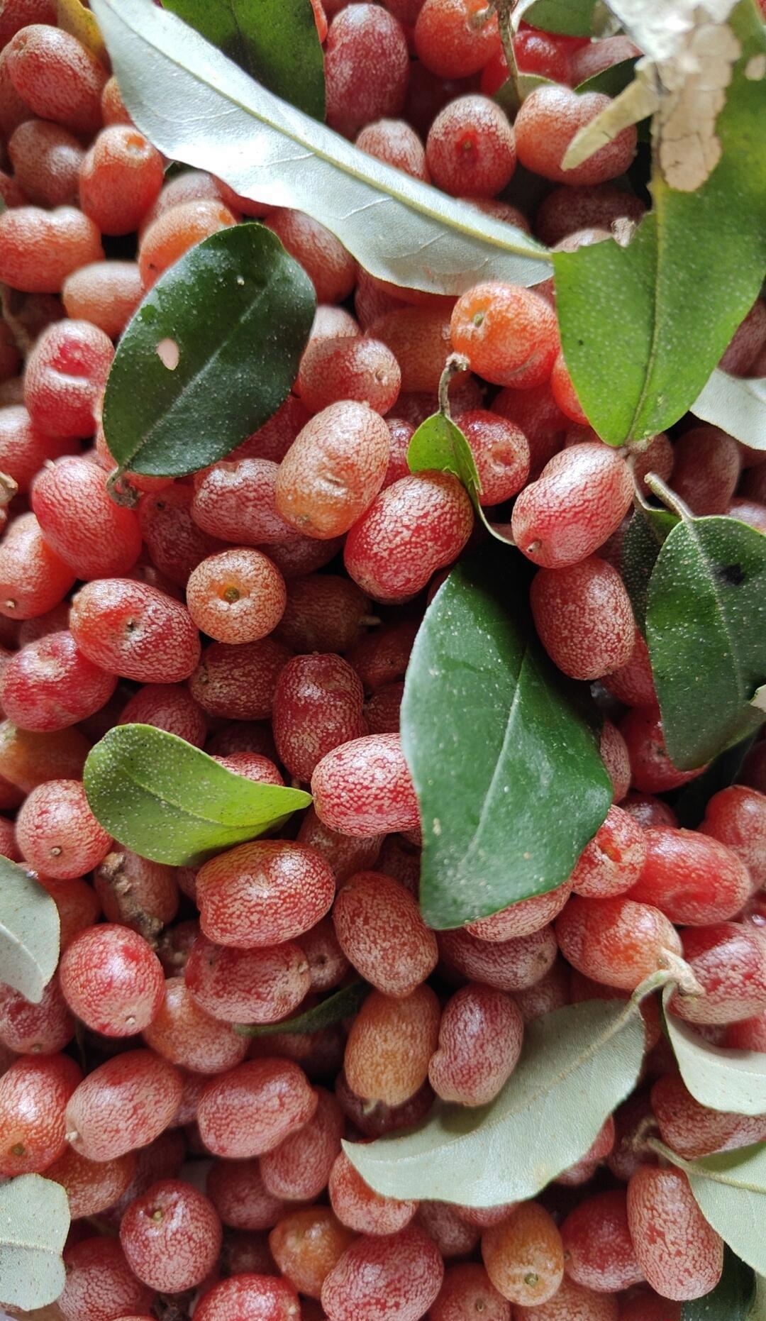 这模样瞧着就诱人,一个入口酸甜交织,滋味妙不可言