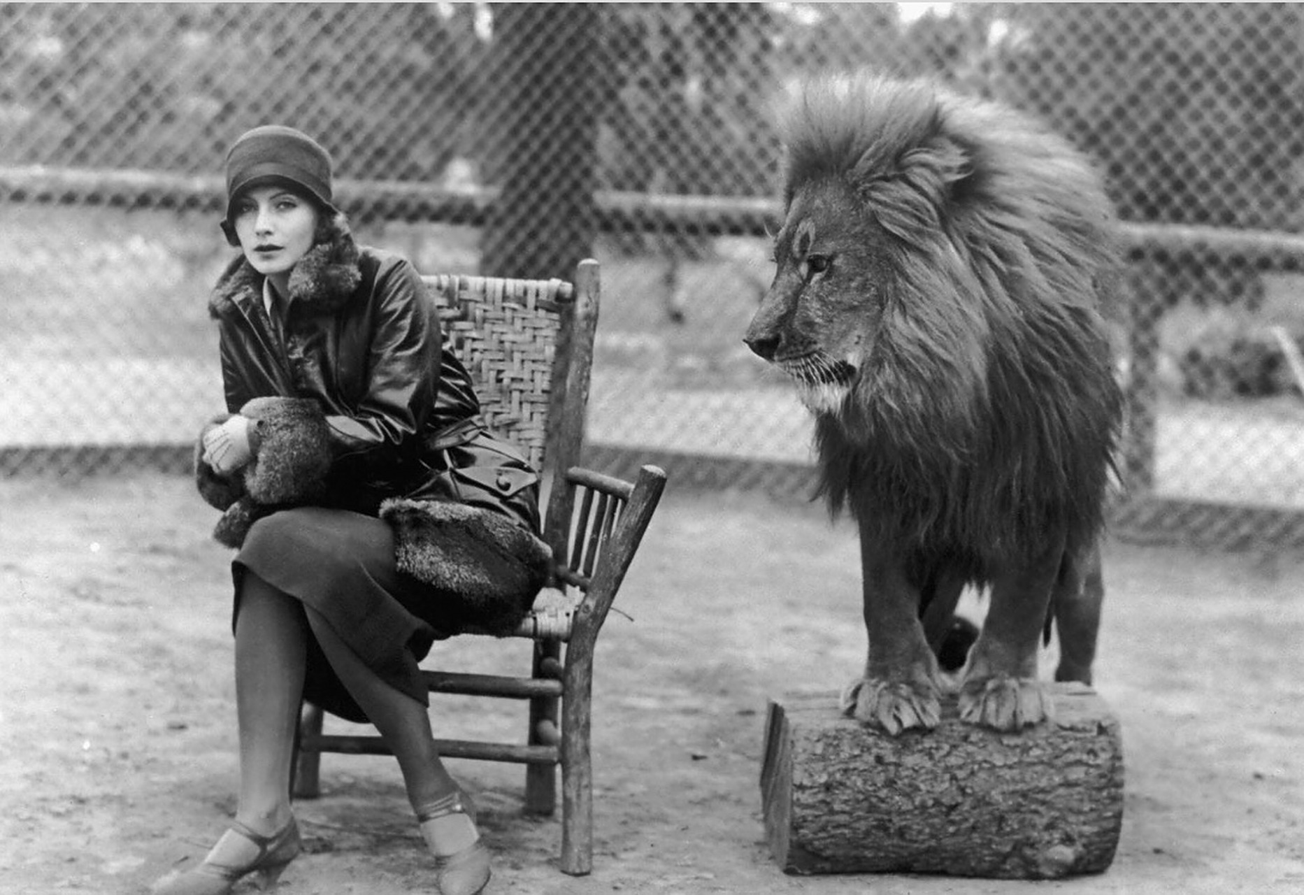 1926年,演员greta garbo(葛丽泰·嘉宝)和米高梅 (mgm) 的电影片头的