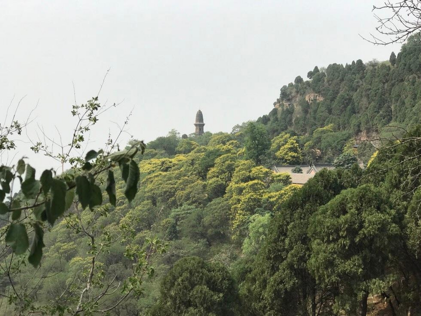 淶水縣龍宮山慶華寺座落在淶水縣永陽鎮北洛平村的龍宮山山腰上,據