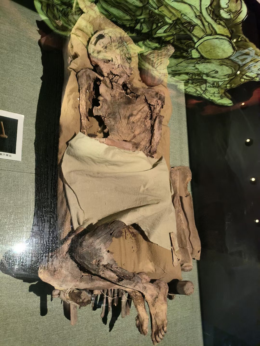 吐鲁番博物馆干尸系列[得意] 67#吐鲁番# #博物馆