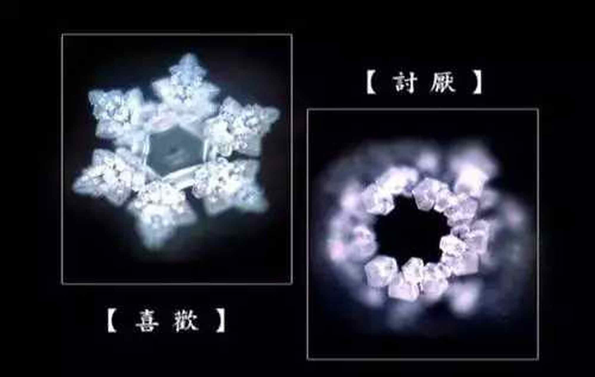 让创作动力十足# 谣言:科学研究表明:对水说好话,水结晶会变好看,对