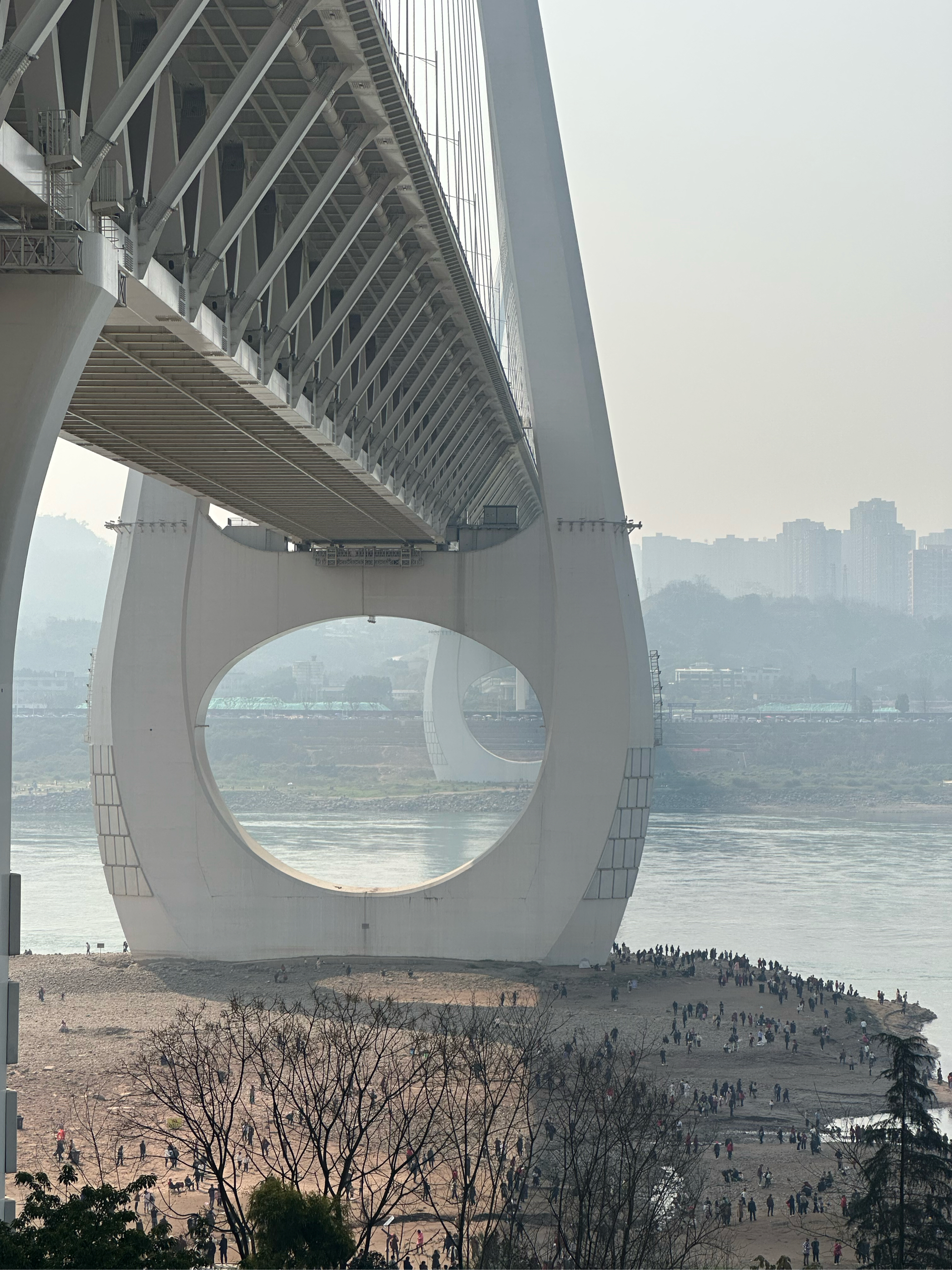 重庆巴滨路湿地公园图片