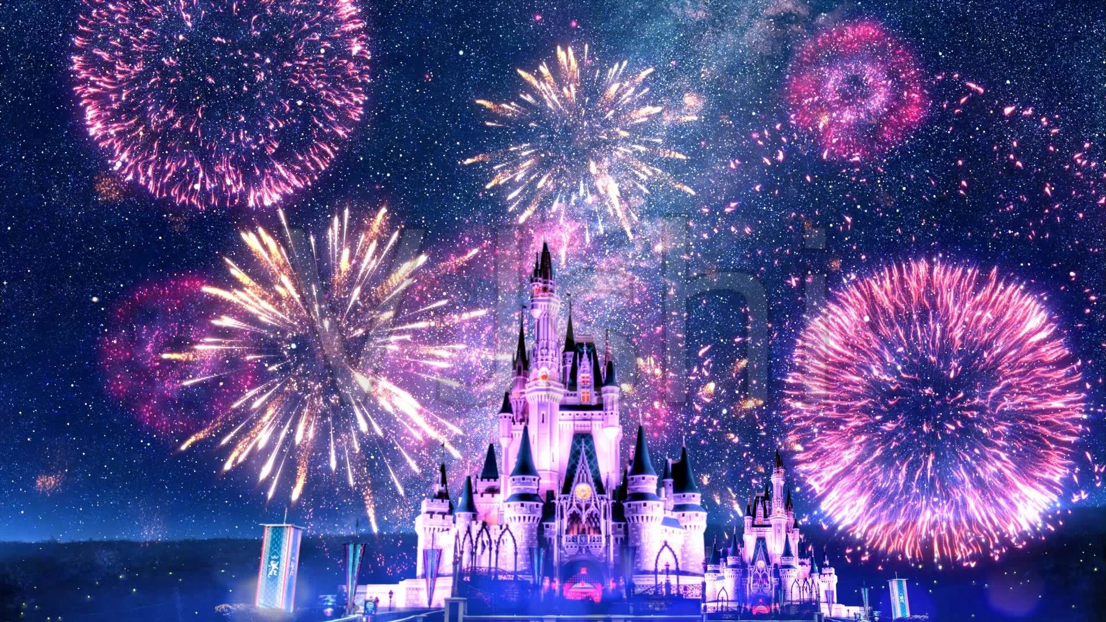 迪士尼城堡壁纸高清图片 特别漂亮!*(  )*[鲜花]