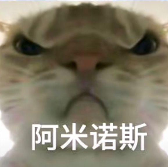 小猫大军列阵