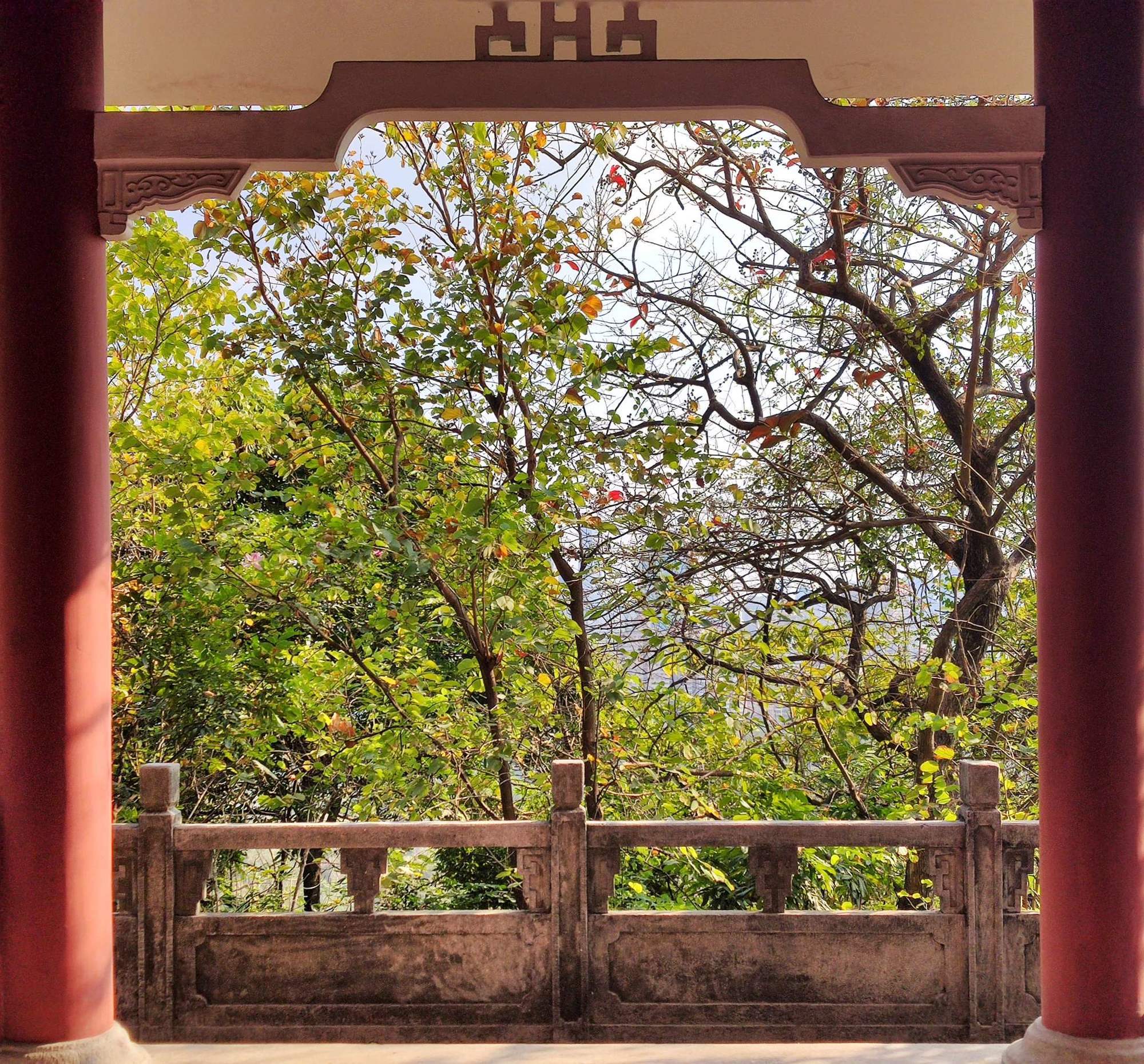 卢丹 摄影《广州鸿鹄楼》